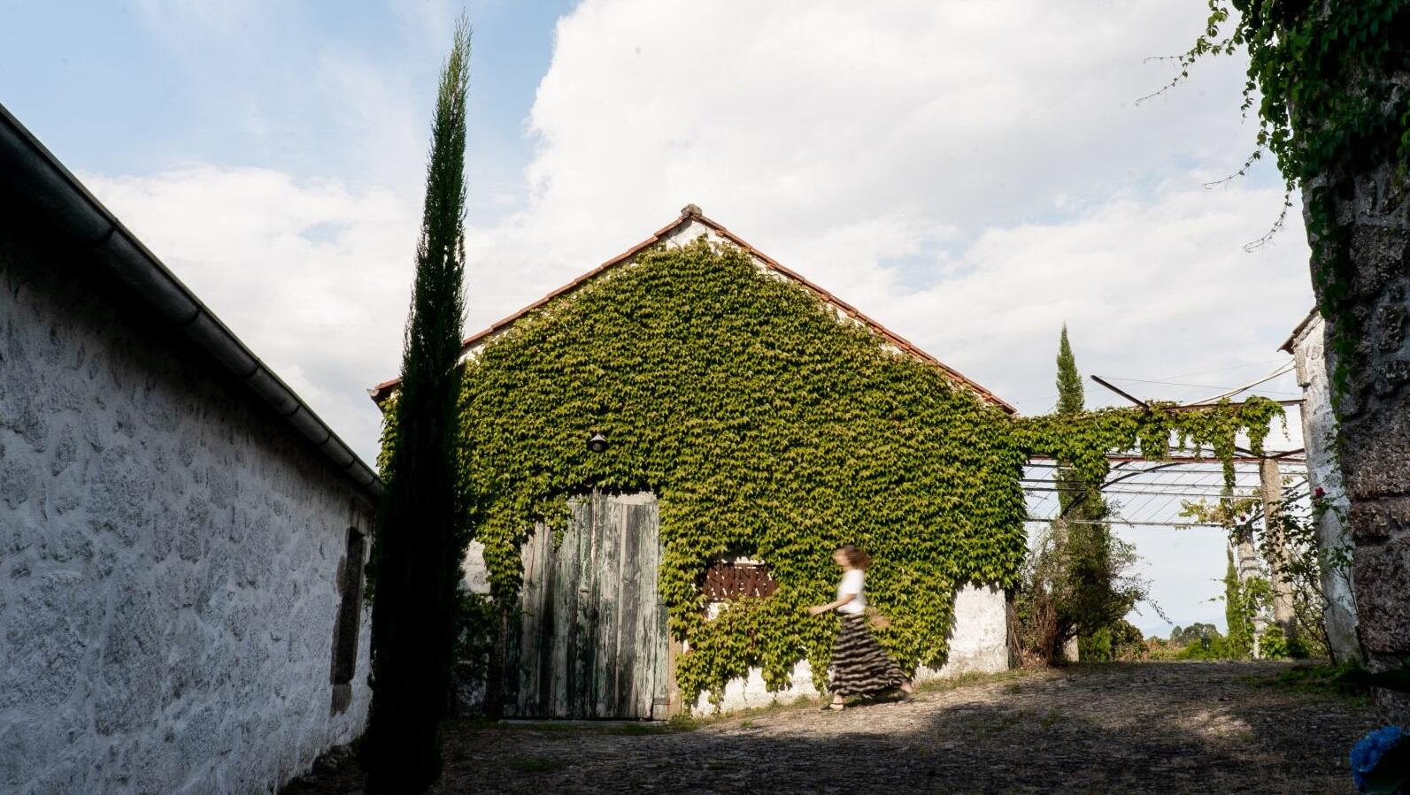 Quinta do Ameal – Visita & Prova de Vinhos