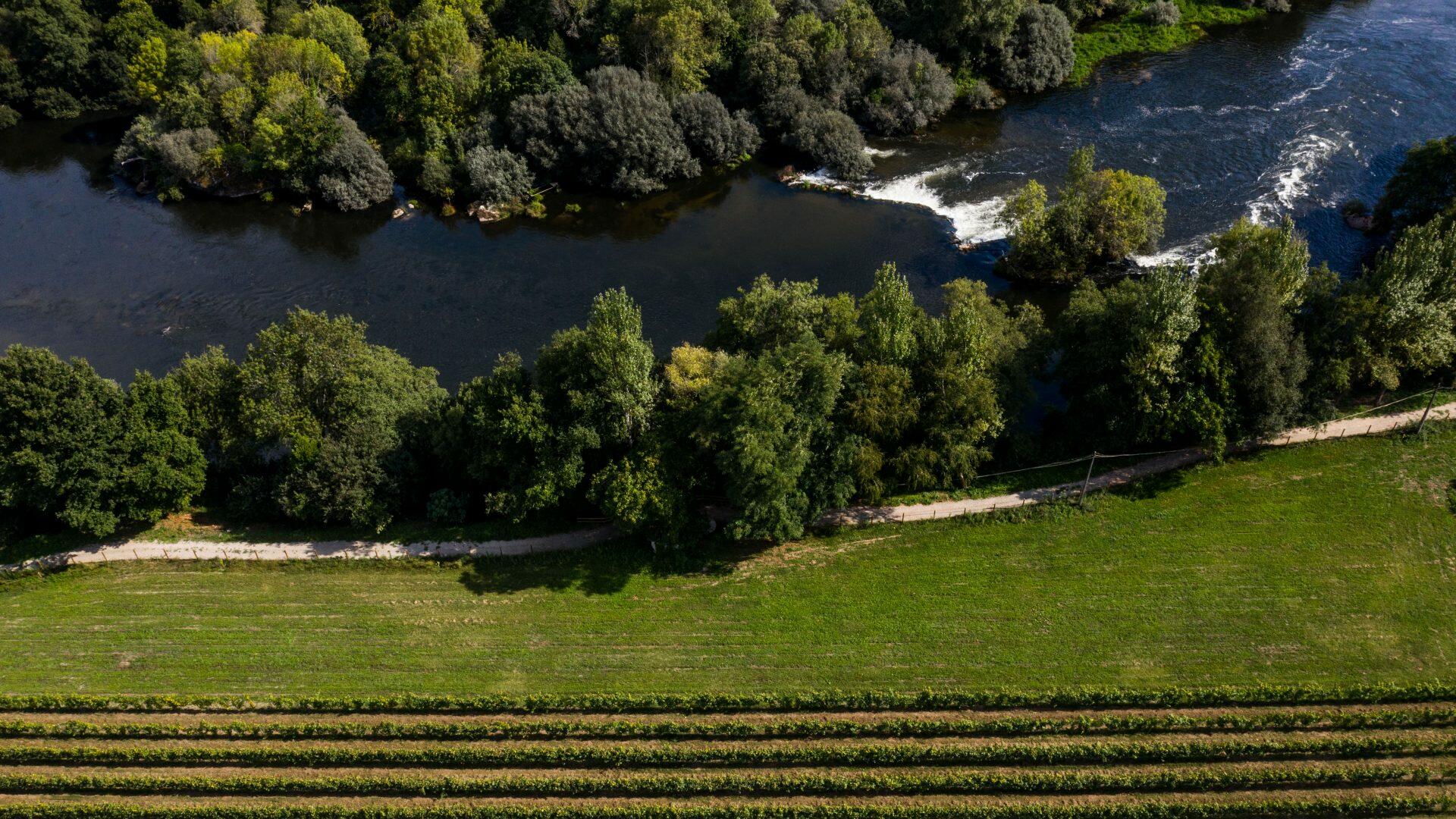 Quinta do Ameal – Visita & Prova de Vinhos