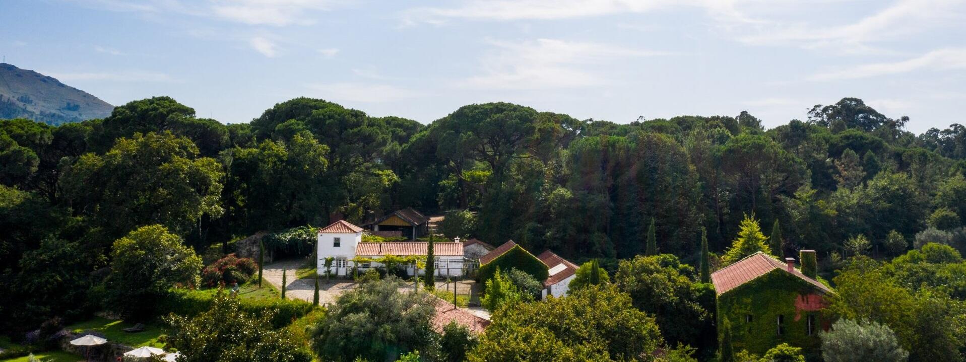 Quinta do Ameal – Visita & Prova de Vinhos