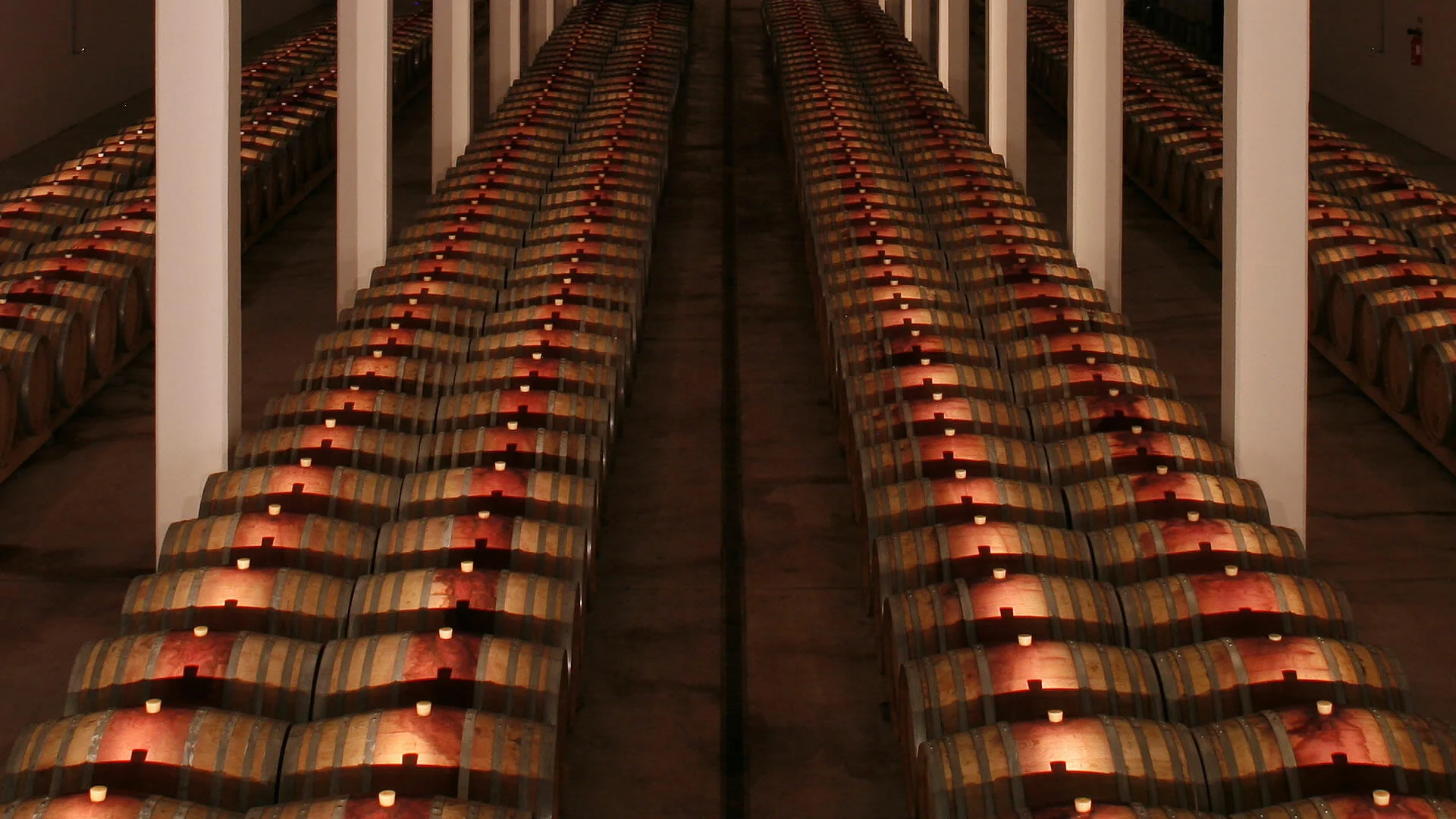 Adega Campolargo – Prova de Vinhos Entre II Santos