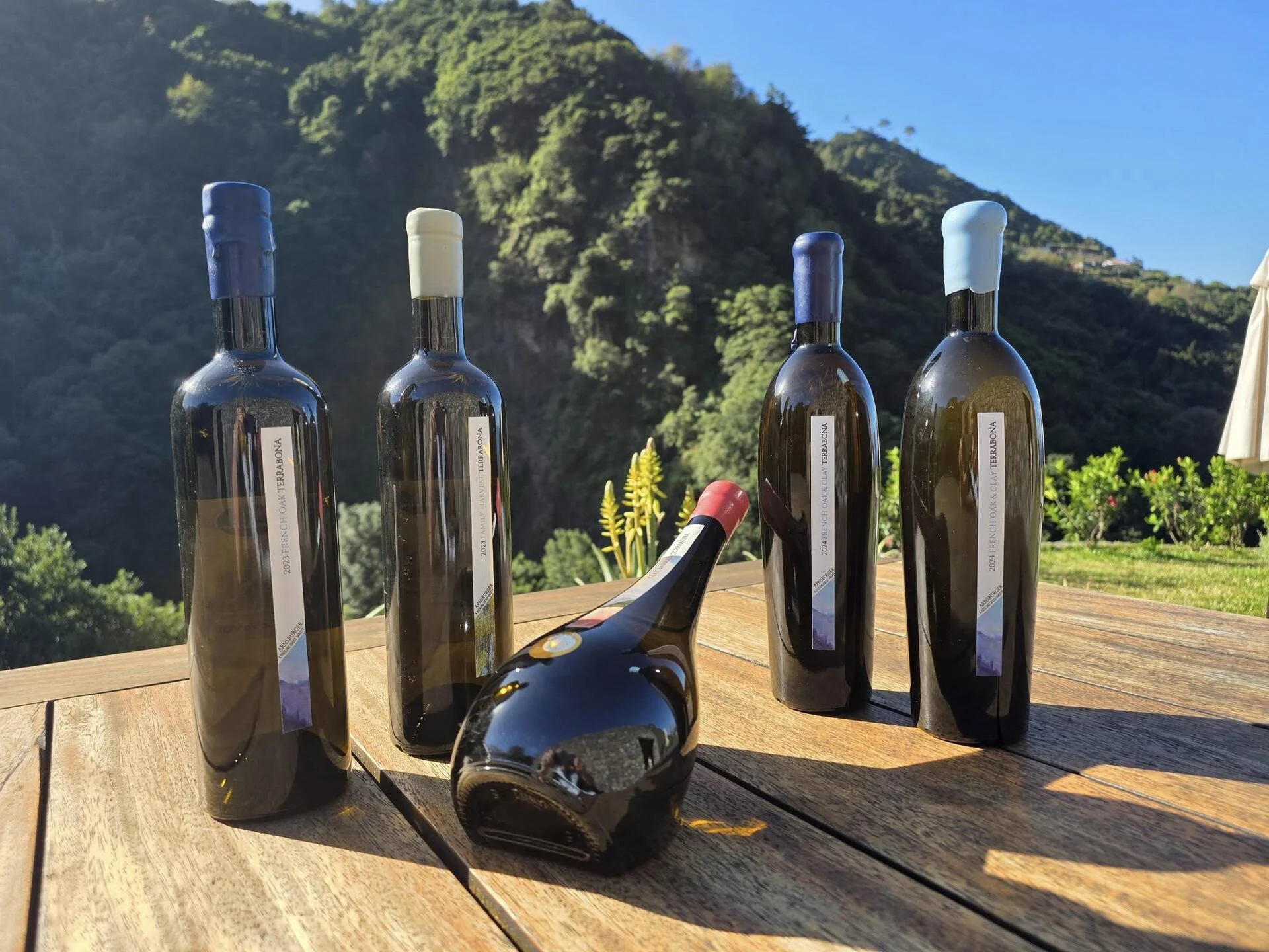 Terrabona – Vineyards Private Moments