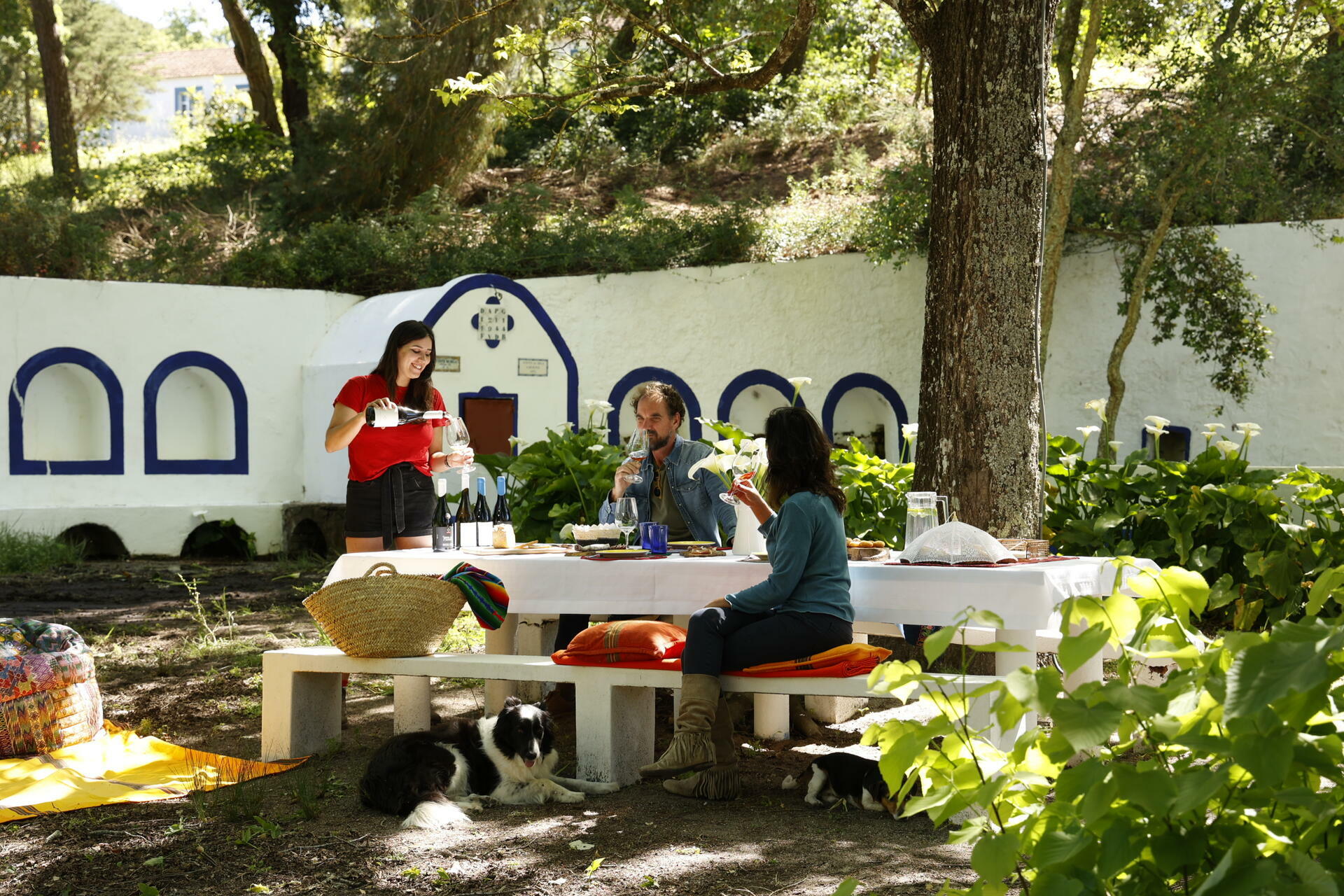 Monte da Bica – Pack Vindima