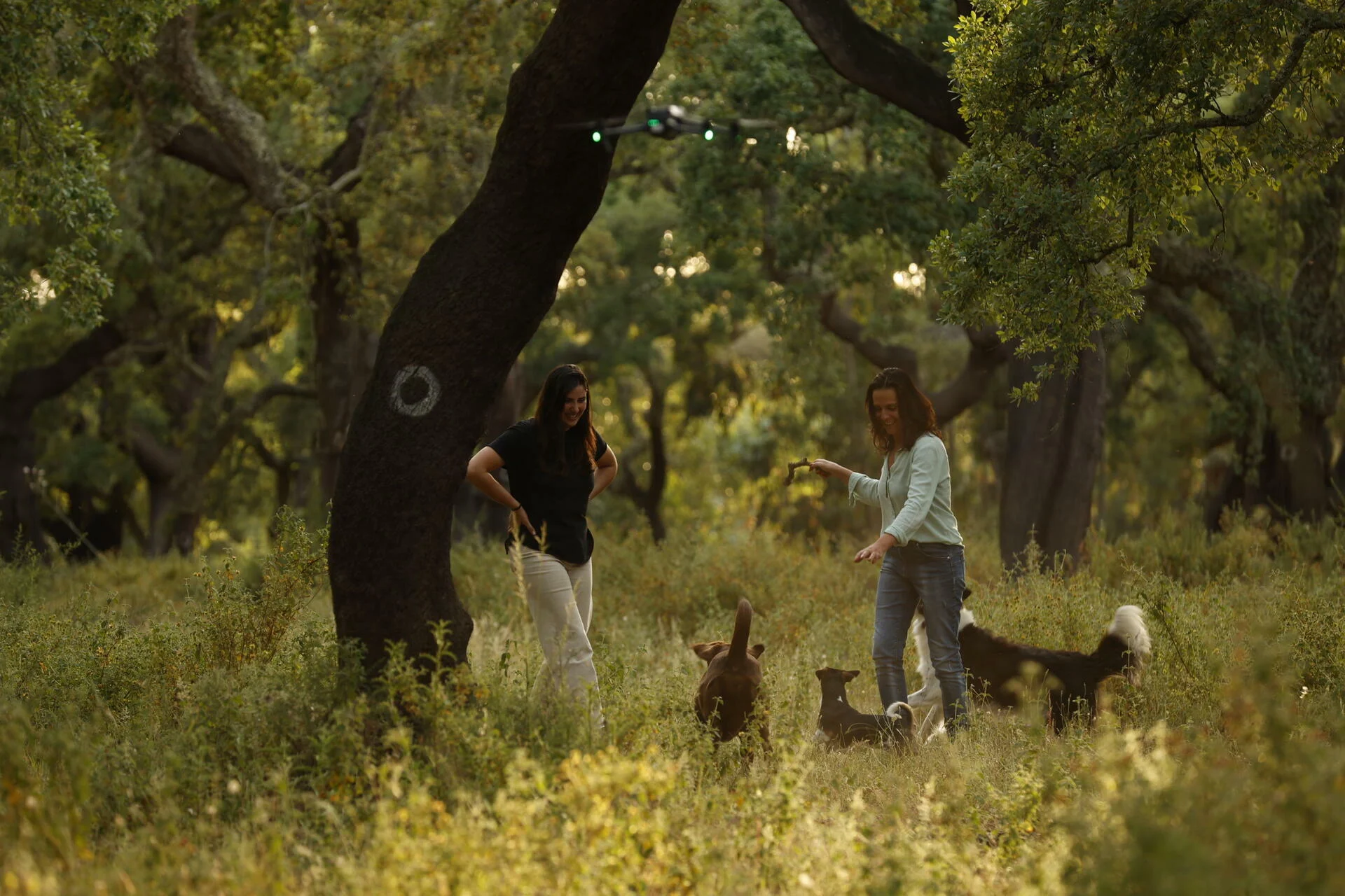 Monte da Bica – Pack Vindima