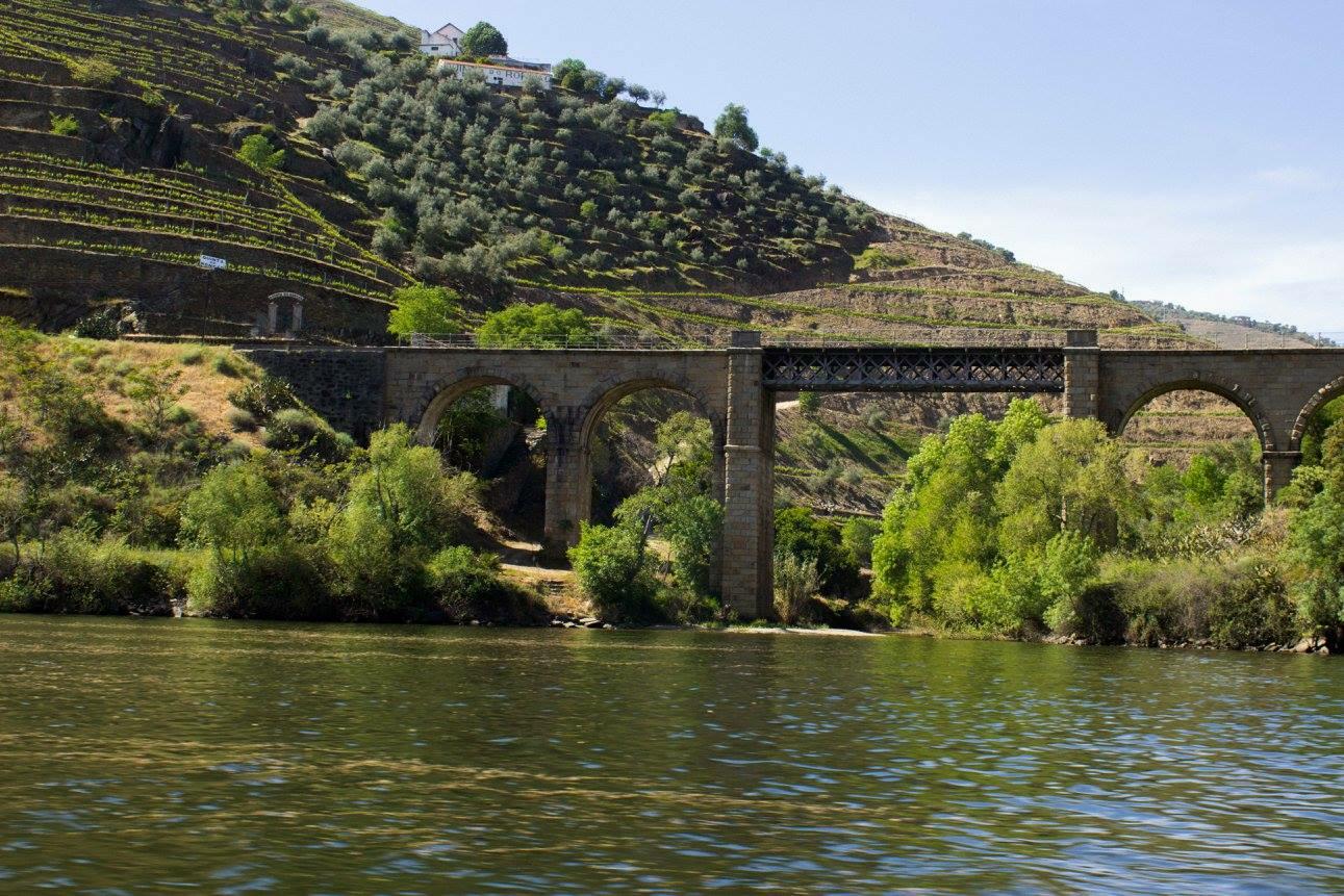 Pinhão – Tua – Pinhão