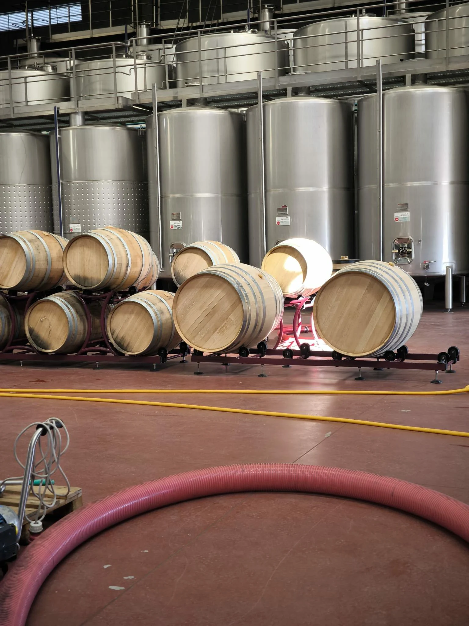 2.5 Vinhos de Belmonte – Visita & Prova