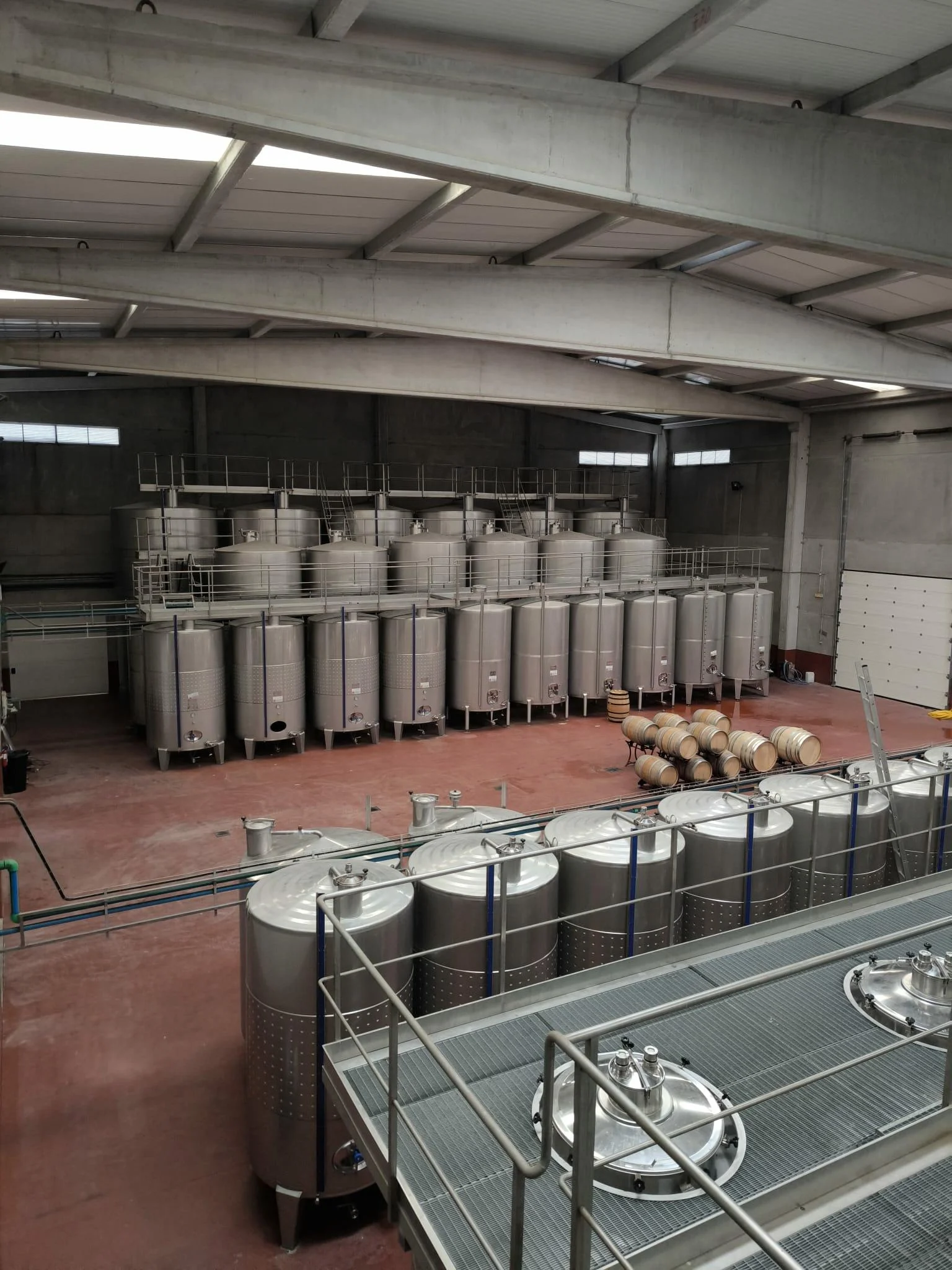 2.5 Vinhos de Belmonte – Visita & Prova