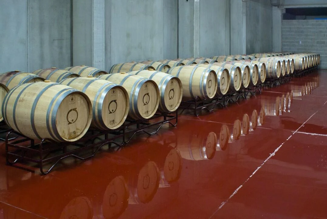 2.5 Vinhos de Belmonte – Visita & Prova