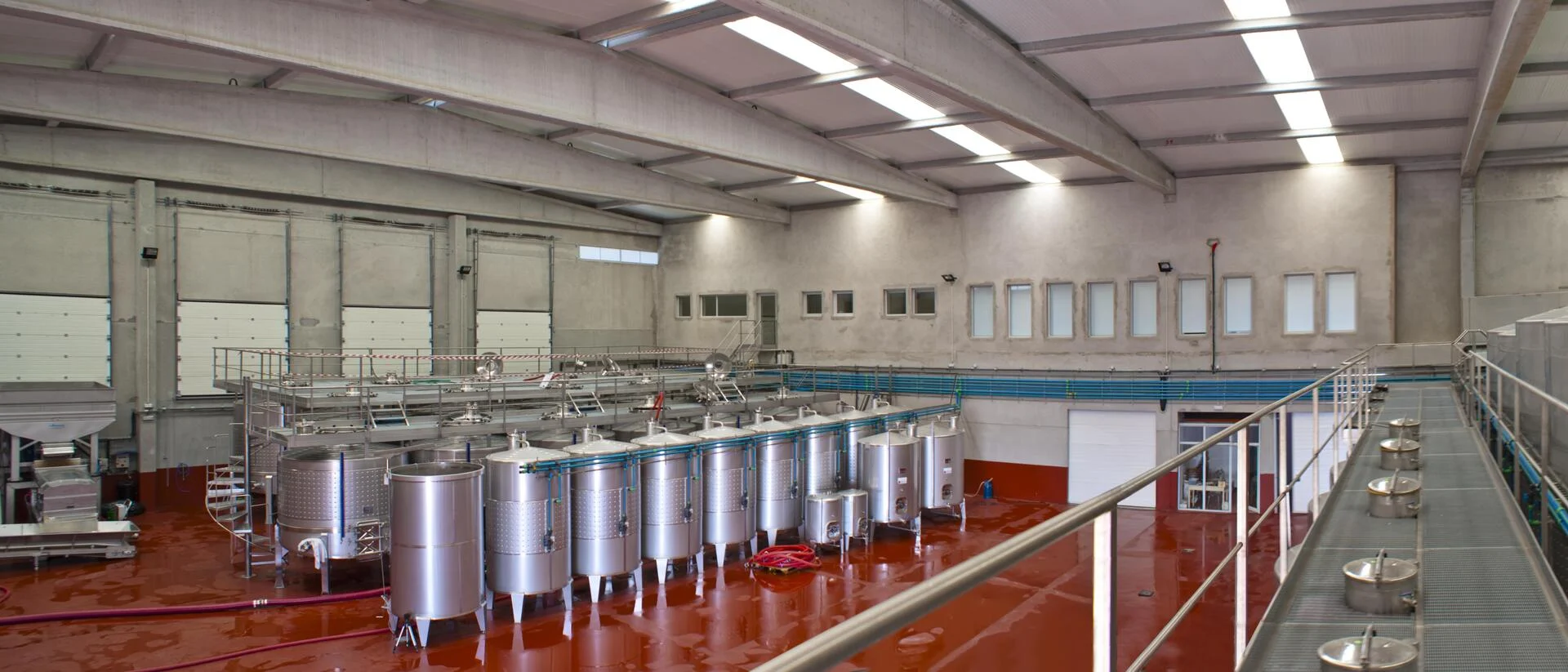 2.5 Vinhos de Belmonte – Visita & Prova