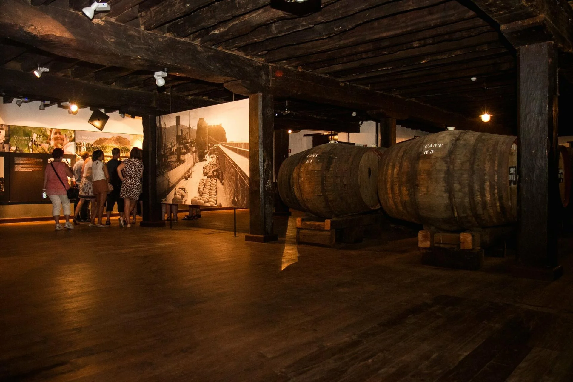 Blandy’s Wine Lodge – Visita Premium & Vintage