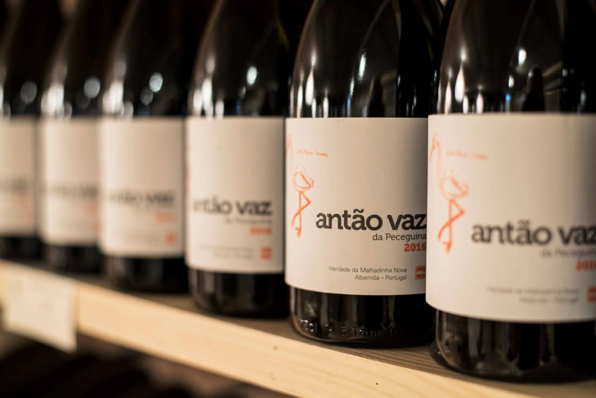 Herdade da Malhadinha Nova – Prova 5 Monocastas