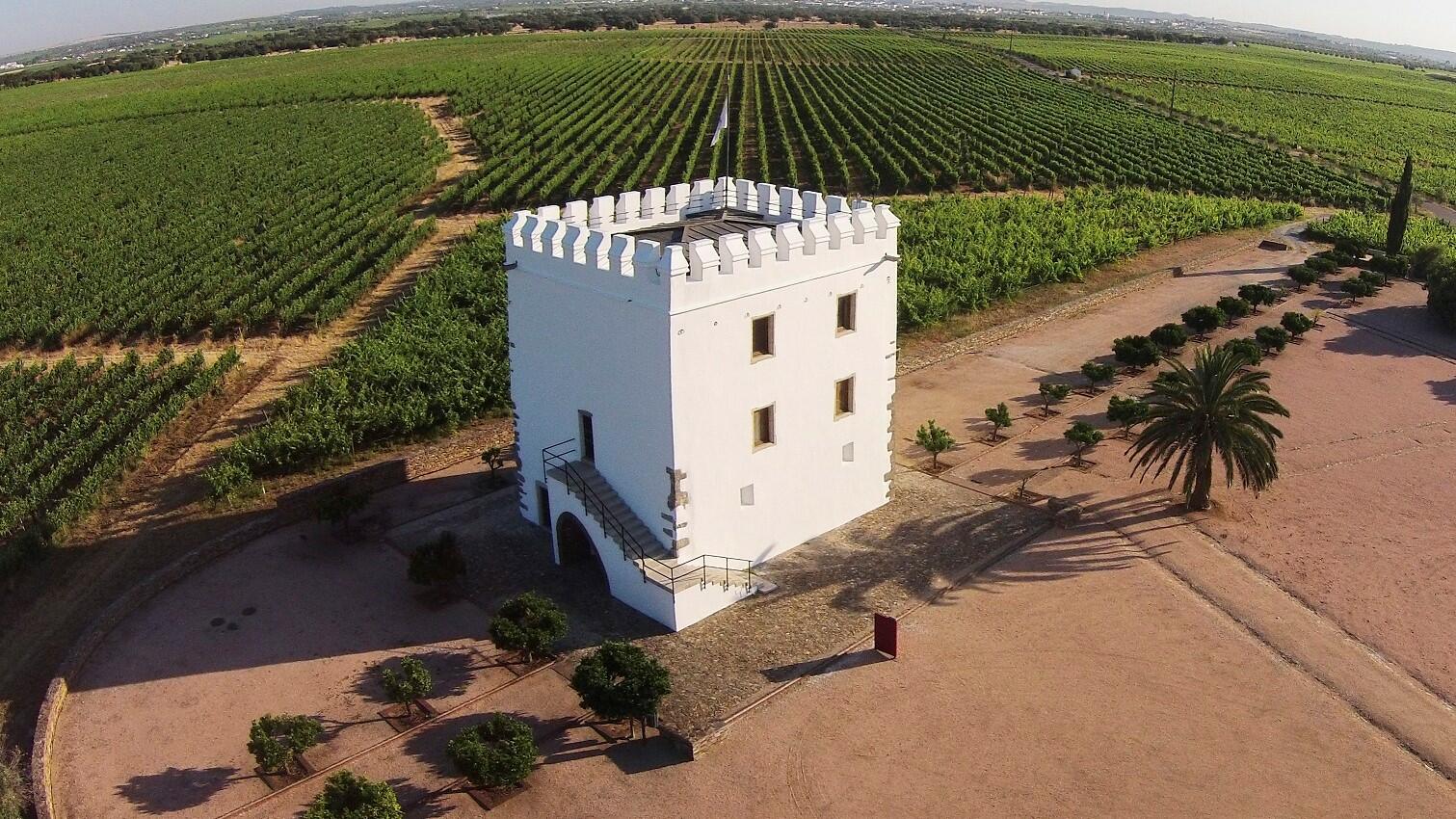 Herdade do Esporão – Almoço 5 Momentos