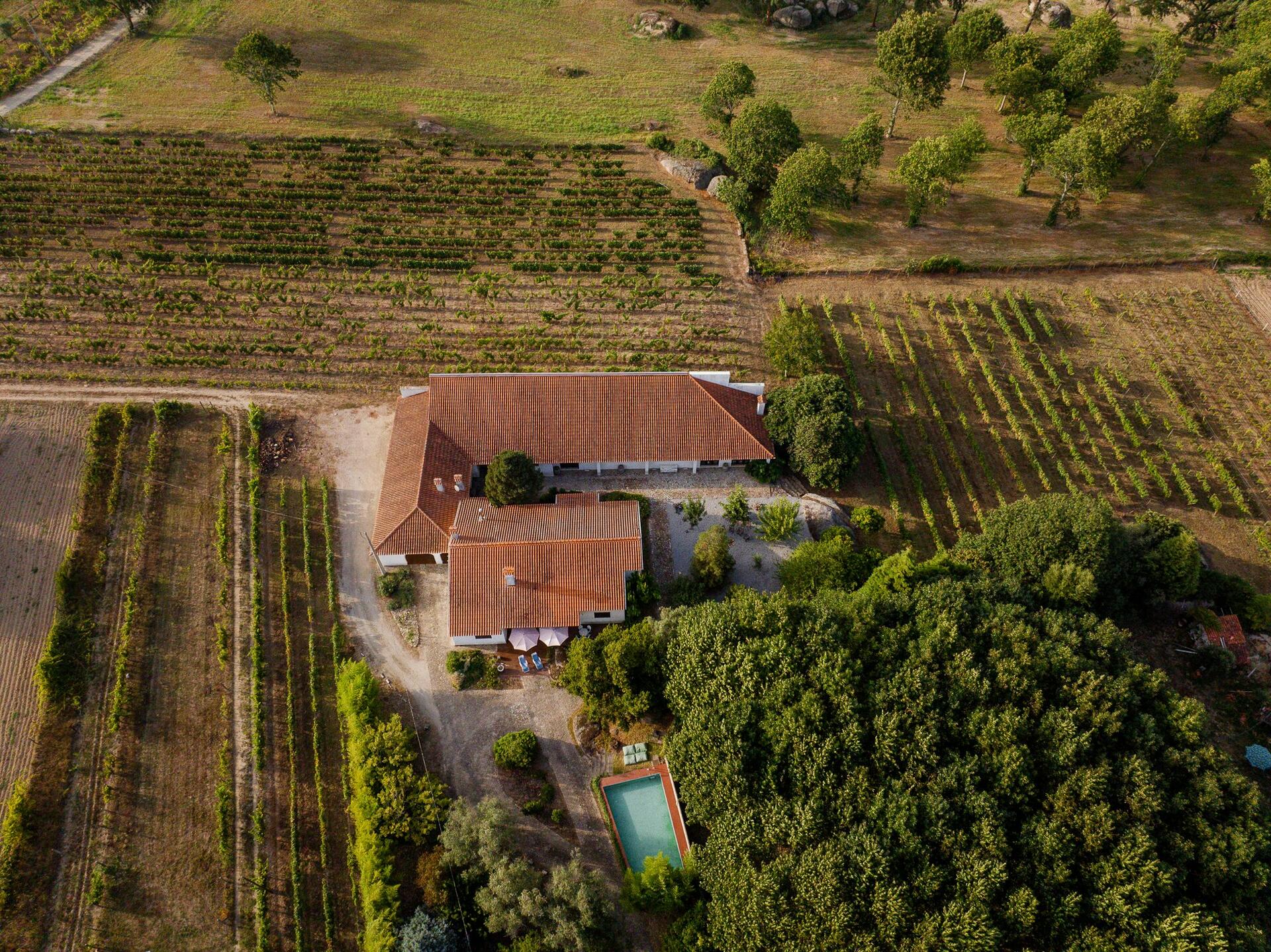 Pereira de Melo Wines – Tapas & Prova 5 Vinhos