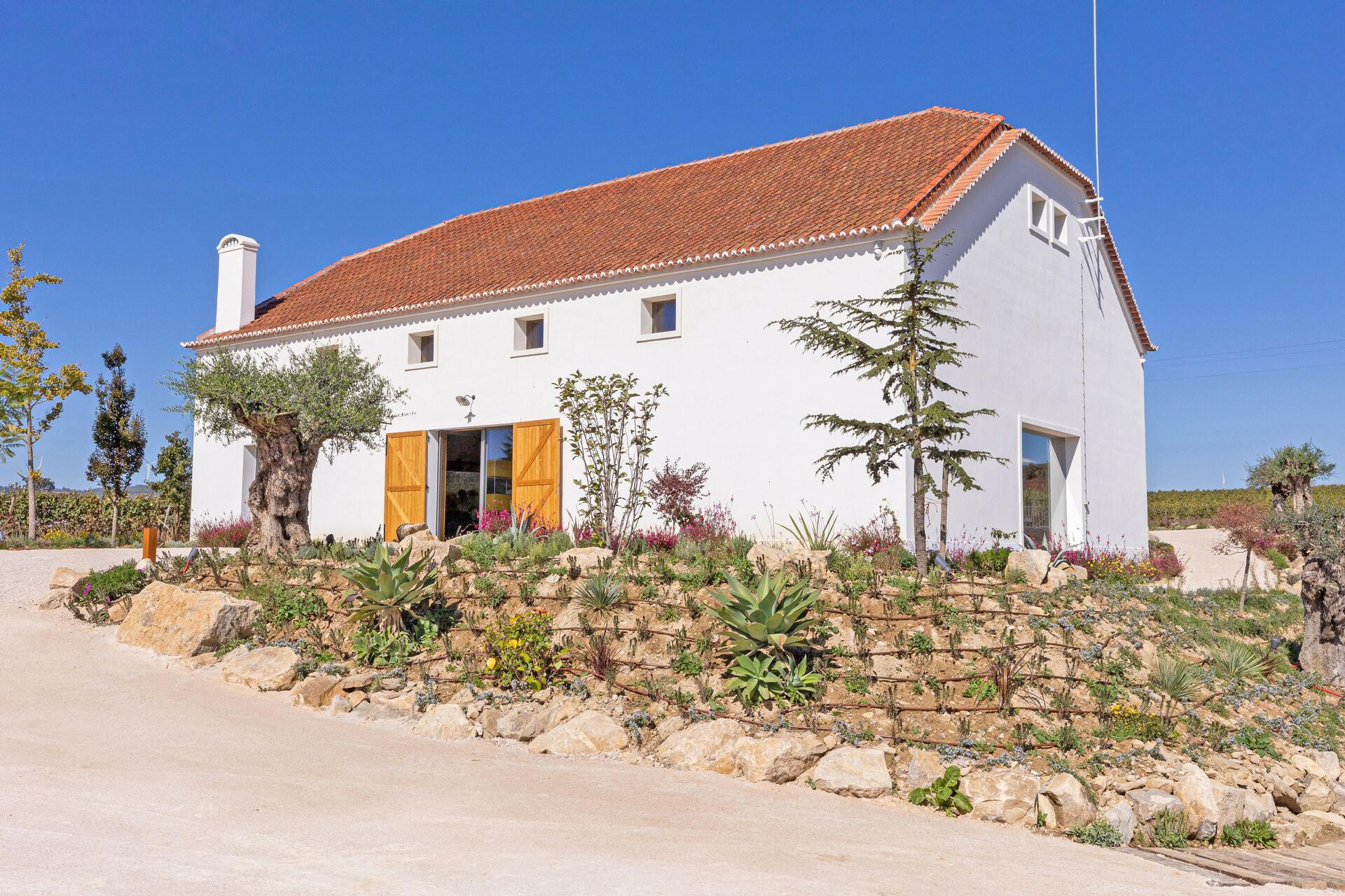 Cas’Amaro – Visita & Prova de Vinhos