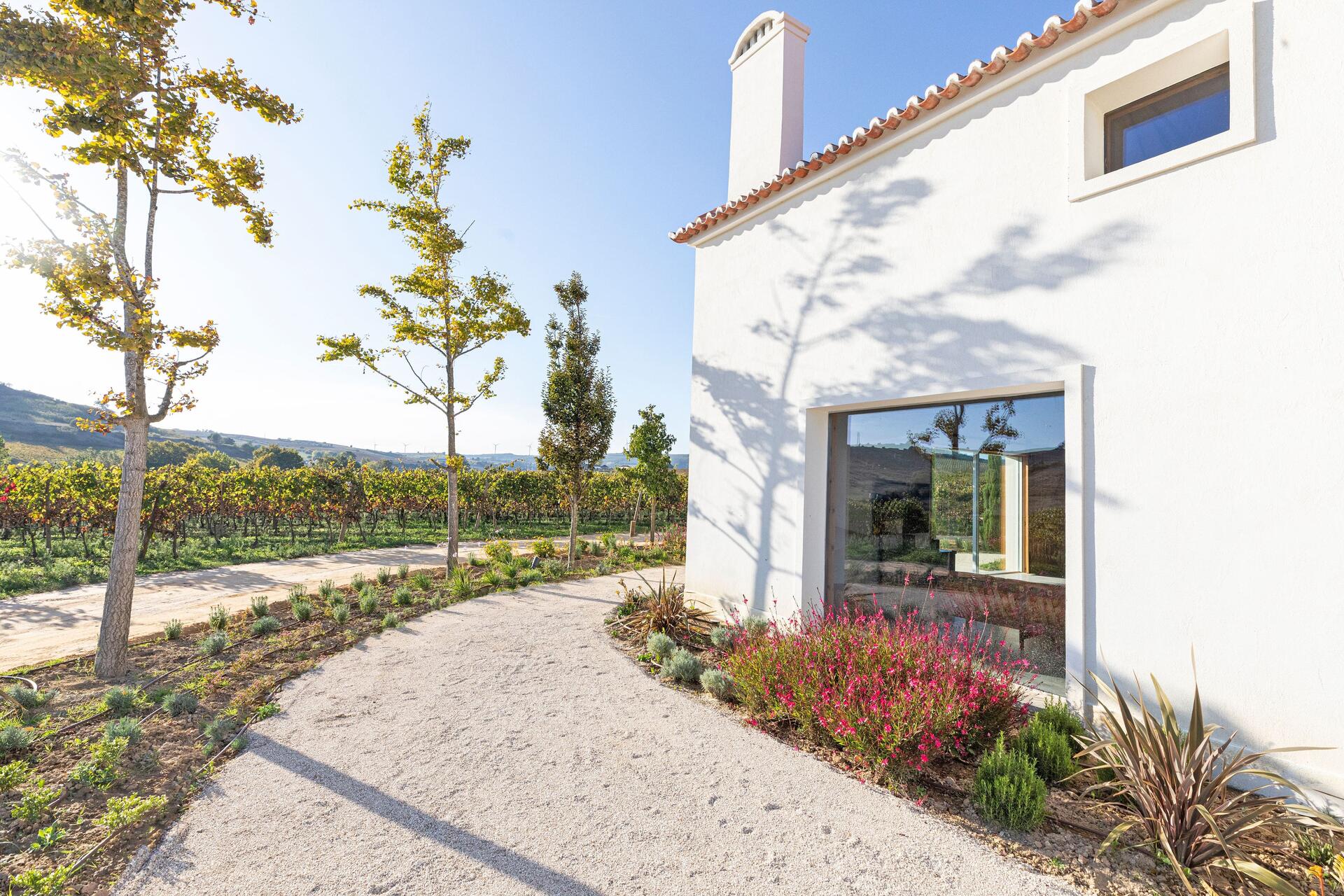 Cas’Amaro – Visita & Prova de Vinhos