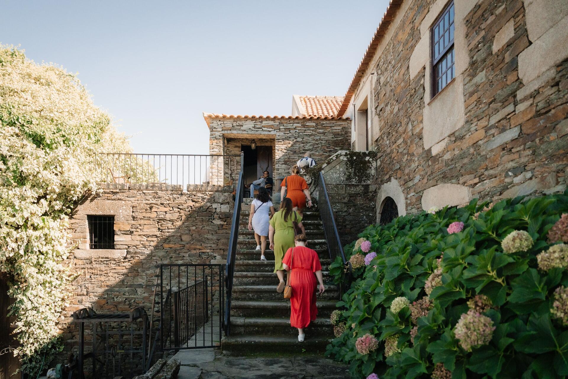 Douro Valley Wine Tour – Wine Venture & Boat Trip