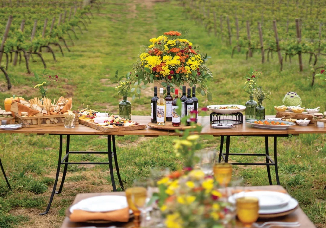 Cas’Amaro – Visita, Prova & Gastronomia