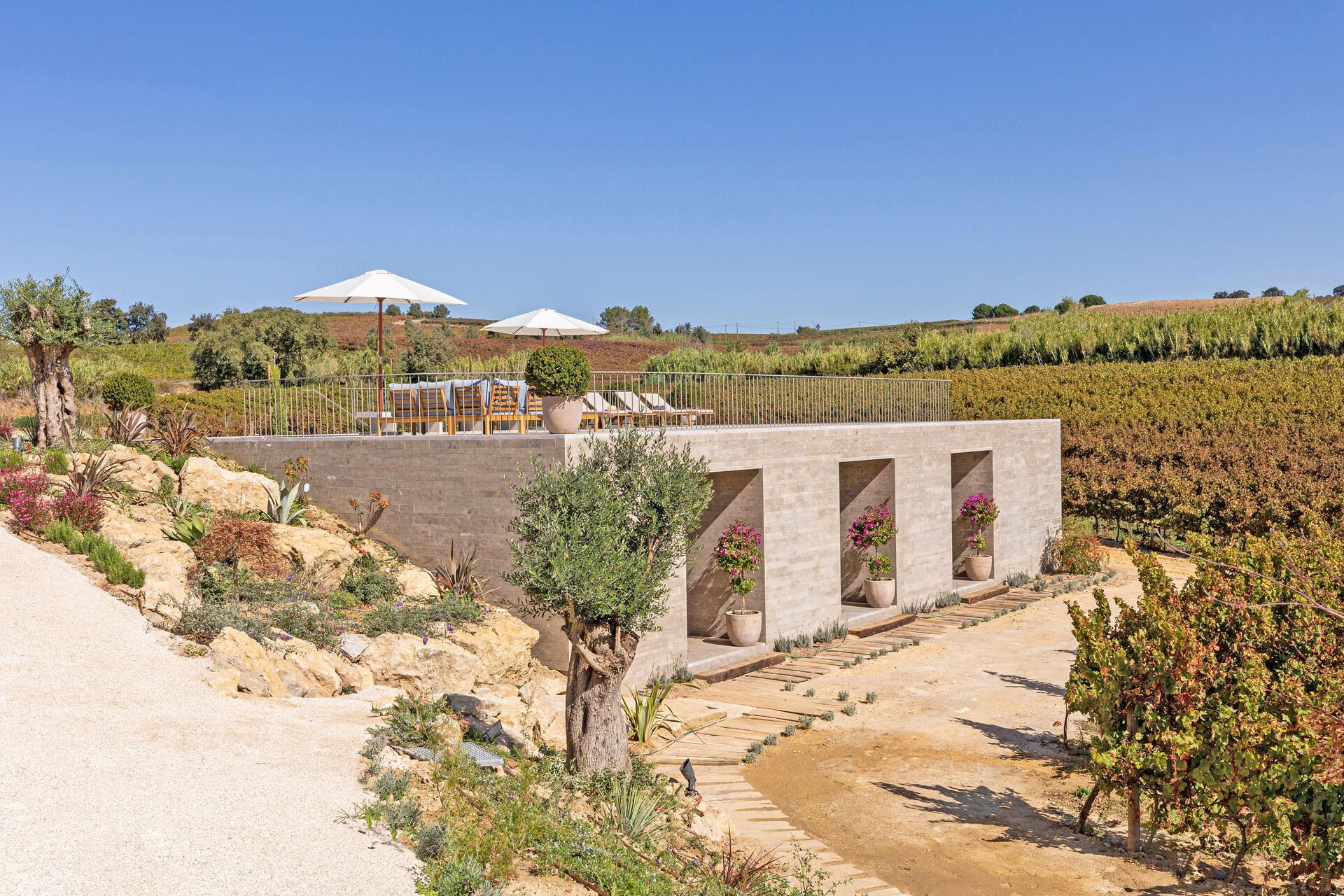 Cas’Amaro – Património & Vinhos