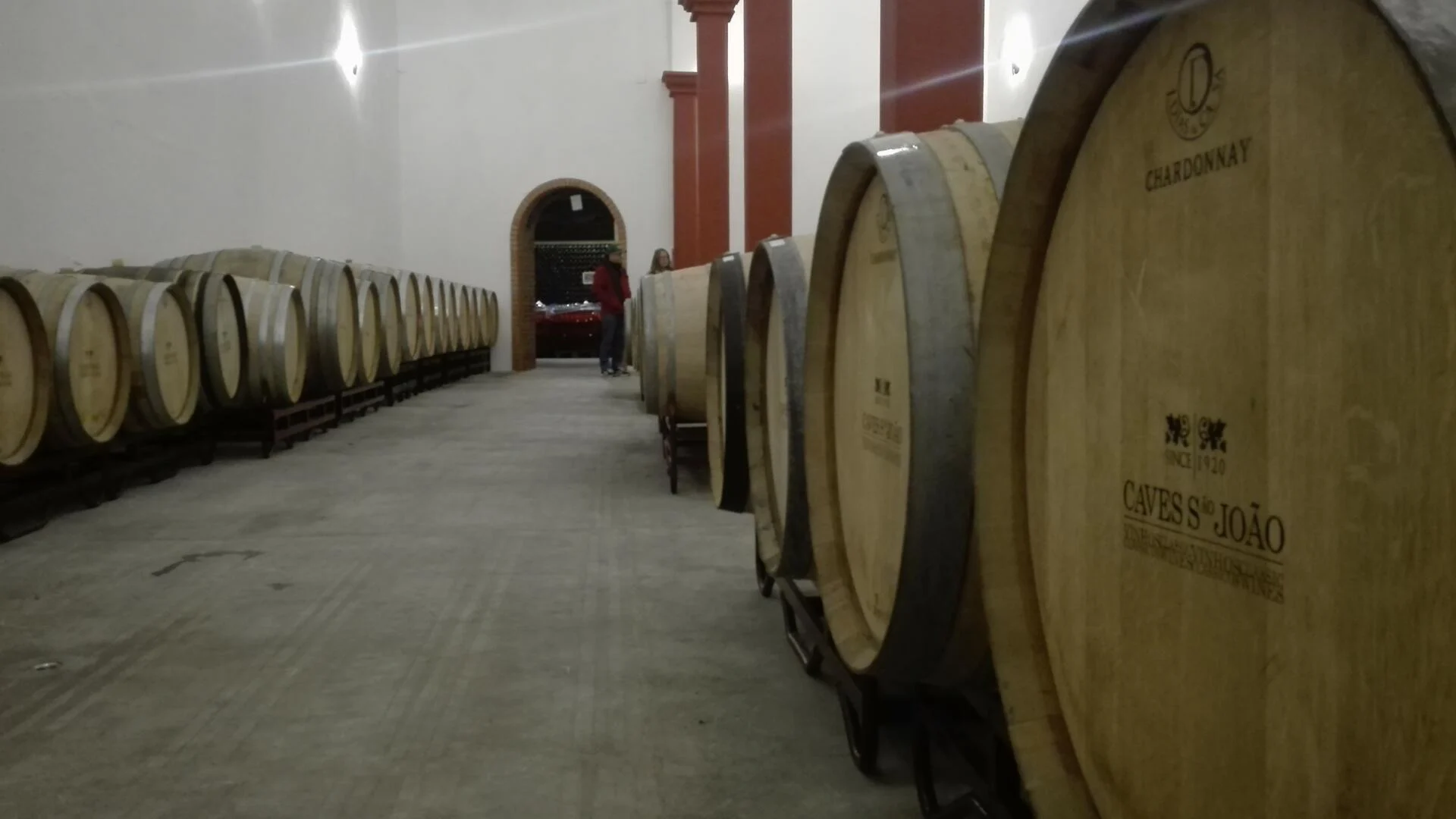 Rota dos Vinhos da Bairrada