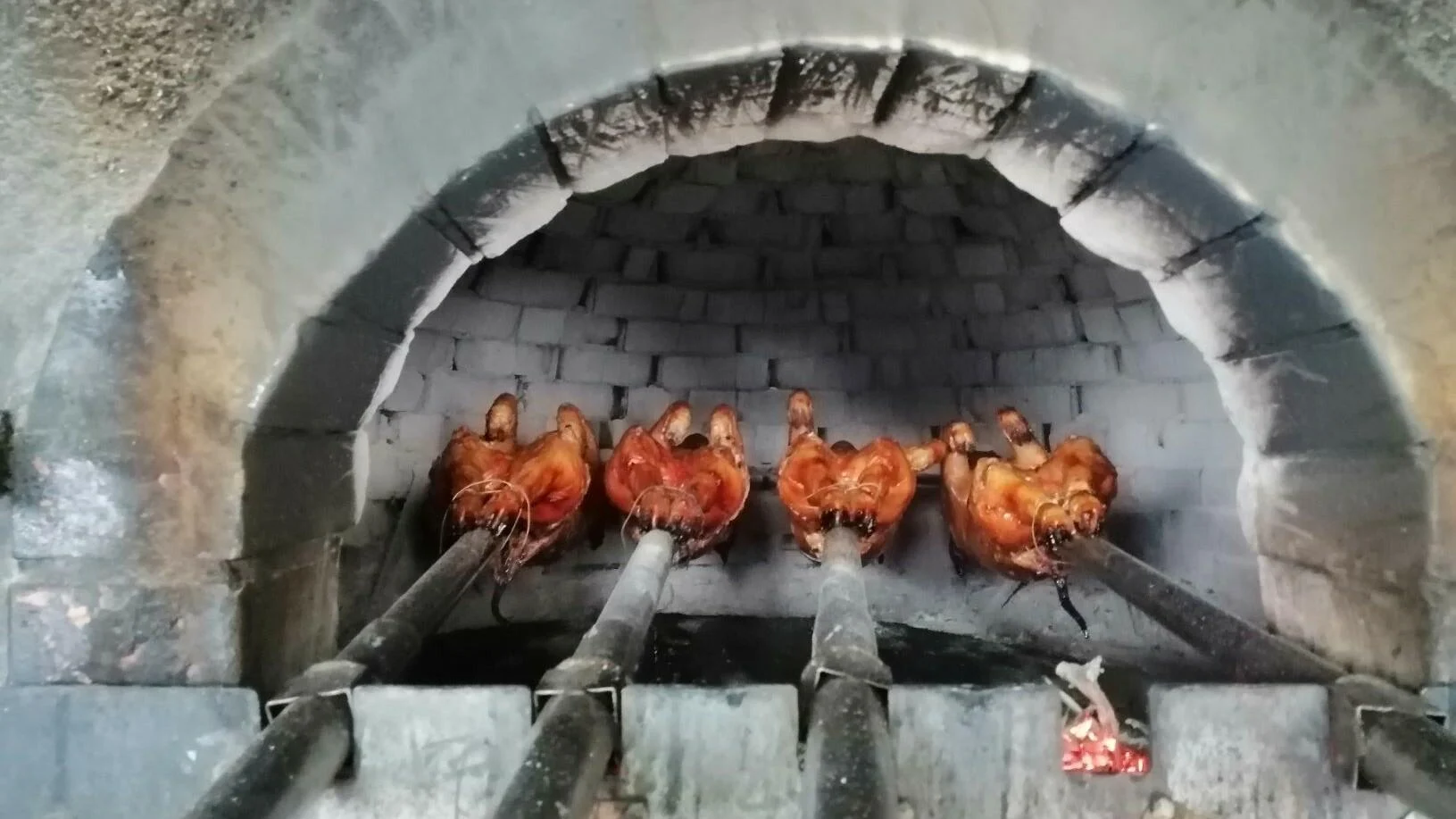 Rota dos Vinhos da Bairrada