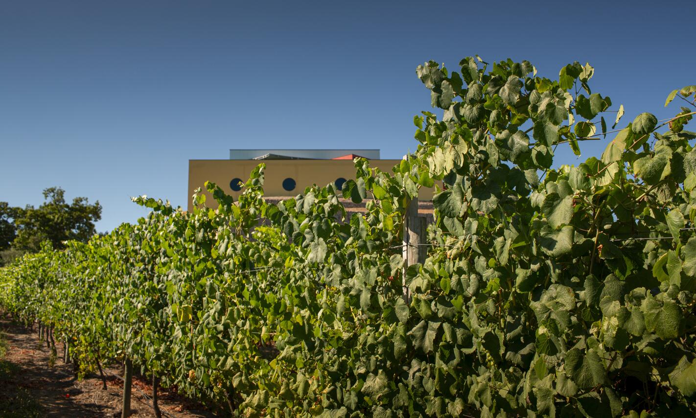 Quinta de Santa Cristina – Programa de Vindimas
