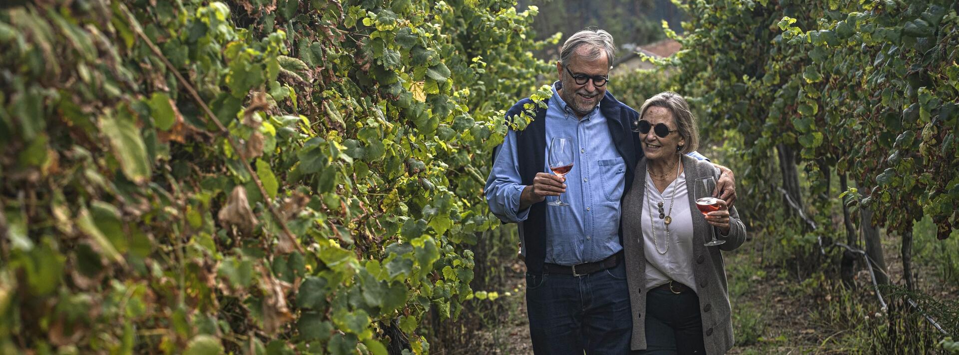 Quinta de Santa Cristina – Programa de Vindimas