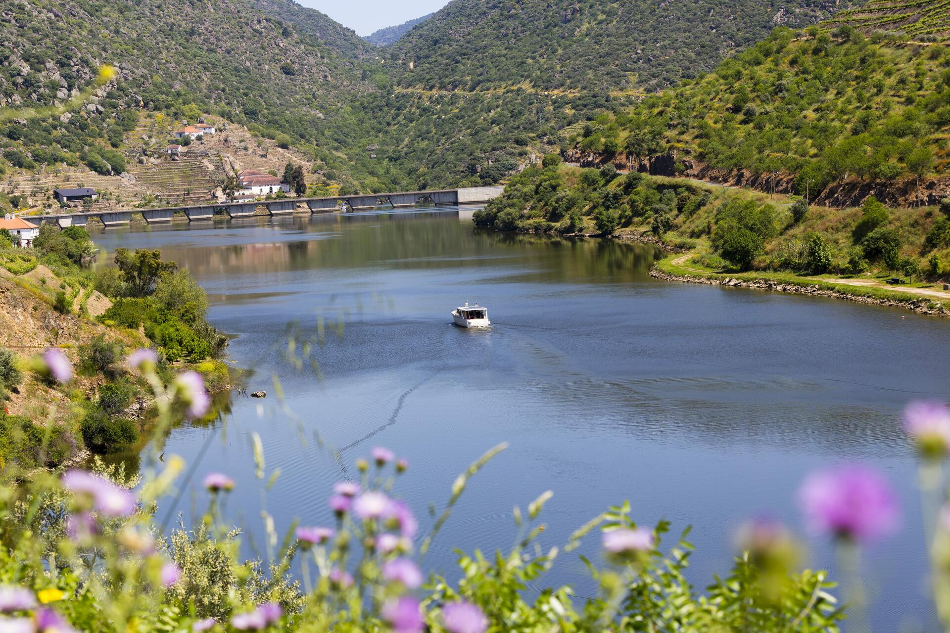 Pinhão – Ferradosa – Pinhão