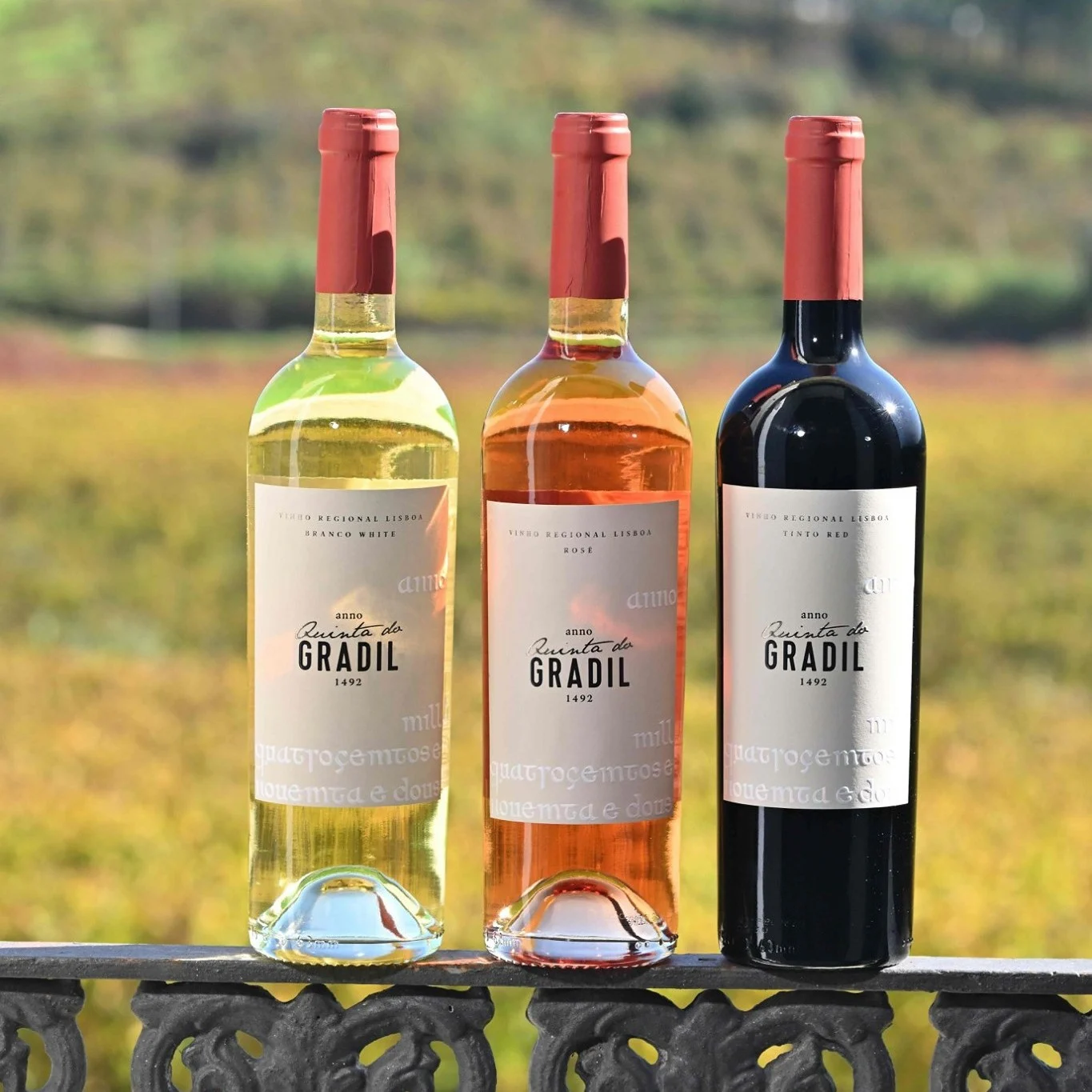 Quinta do Gradil – Visita & Prova de 3 Vinhos