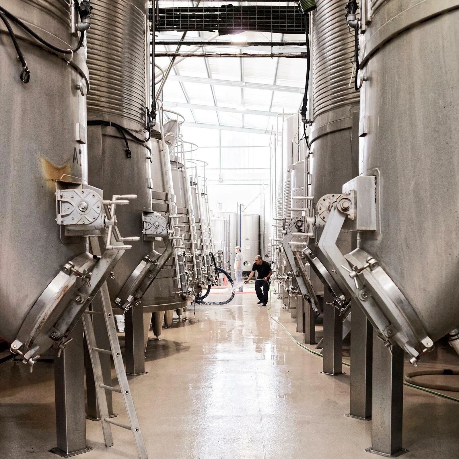 Quinta do Gradil – Visita & Prova Premium