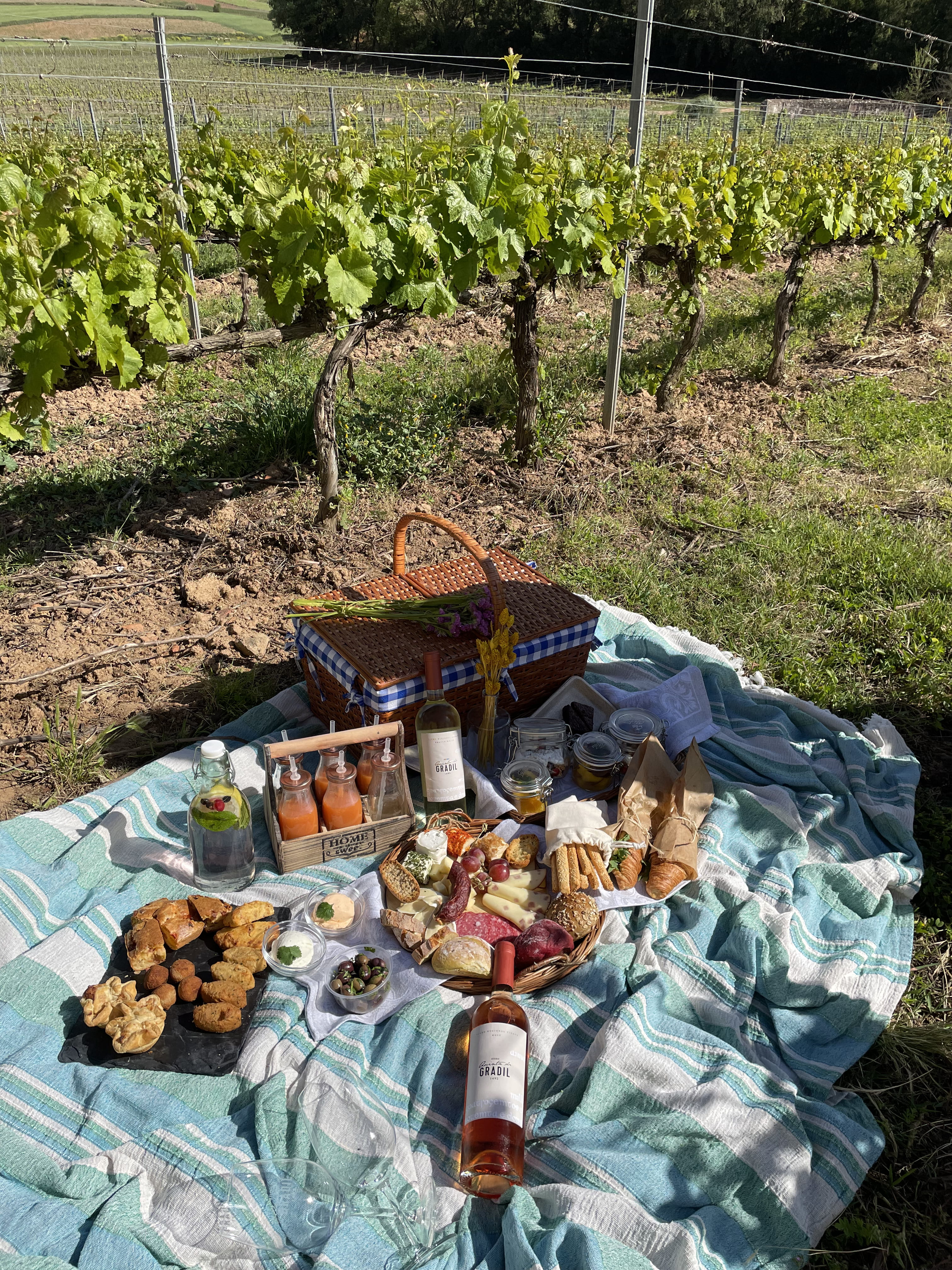 Quinta do Gradil – Piquenicar nas Vinhas