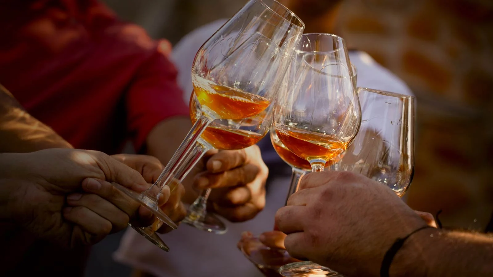 Casa do JOA – Um “Cibinho” com os Amigos