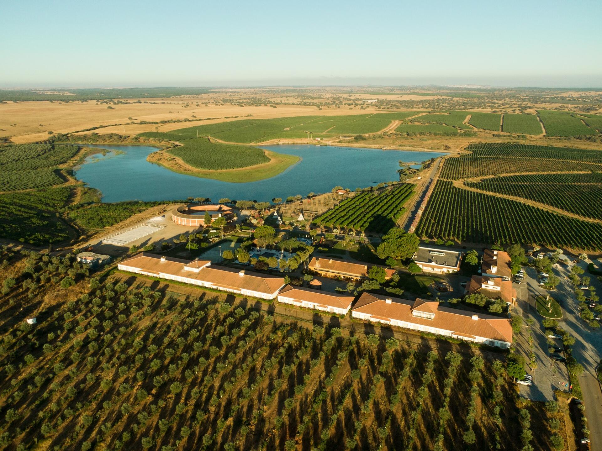 Casa de Santa Vitória – Prova Seleção