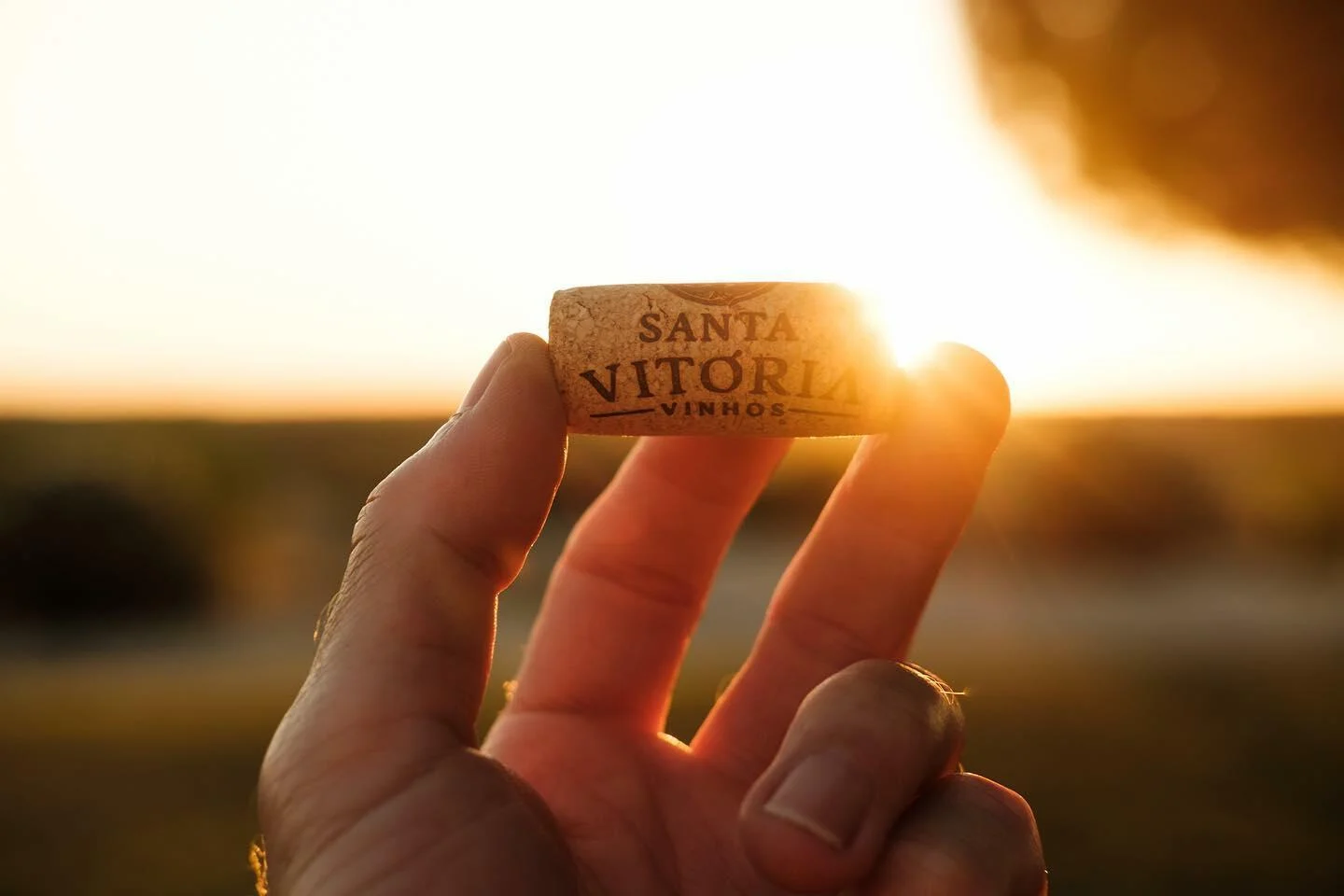 Casa de Santa Vitória – Prova Premium