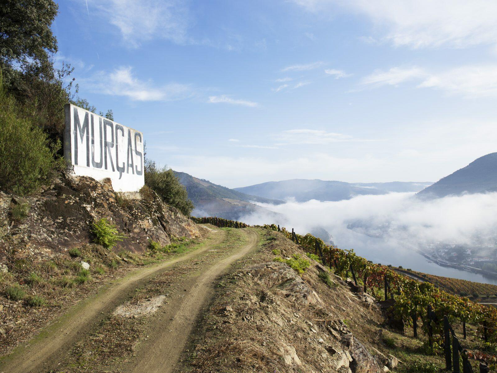 Quinta dos Murças – Visita & Prova Terroir