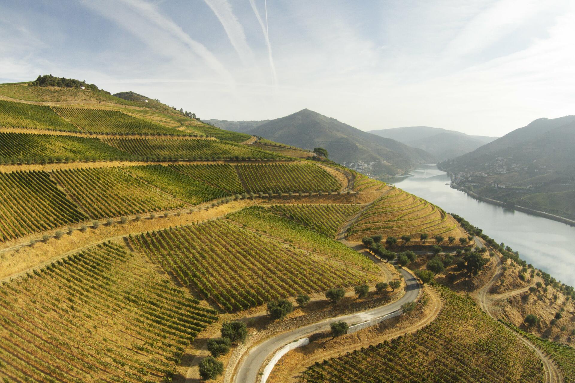 Quinta dos Murças – Visita & Prova Terroir