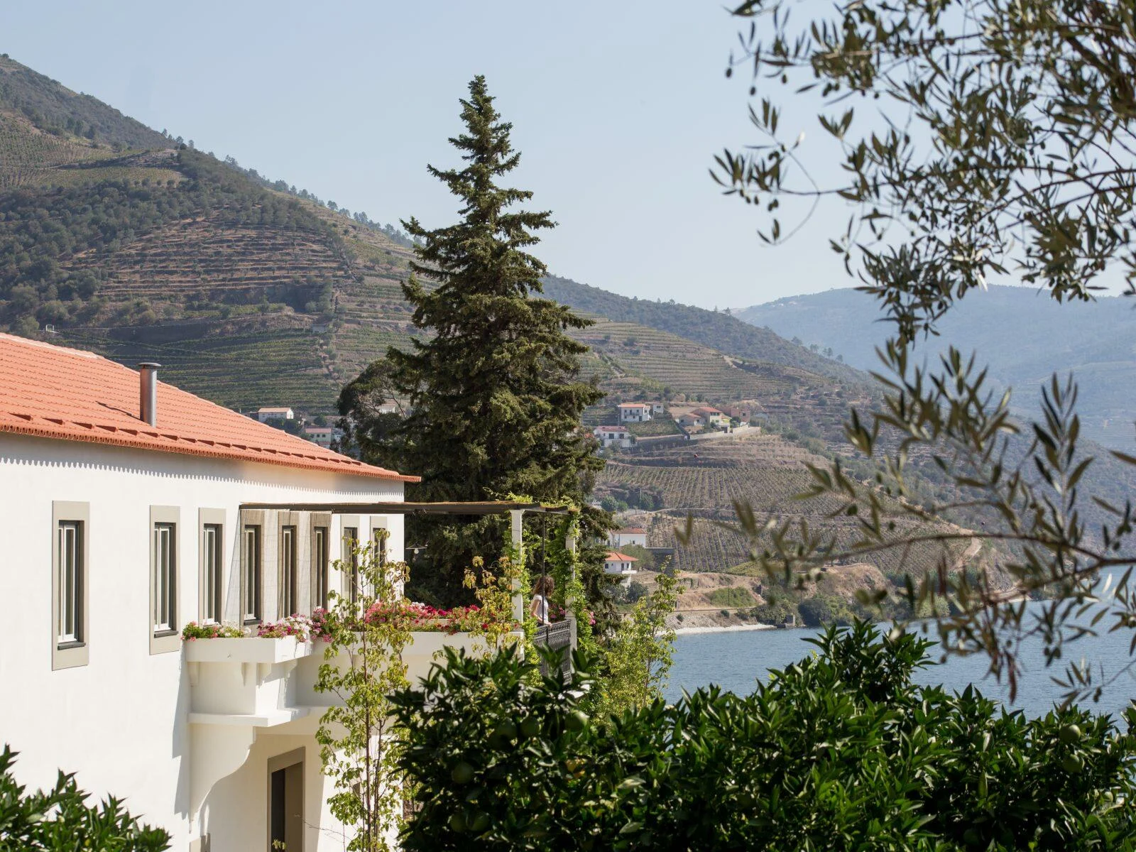 Quinta dos Murças – Visita & Prova Terroir