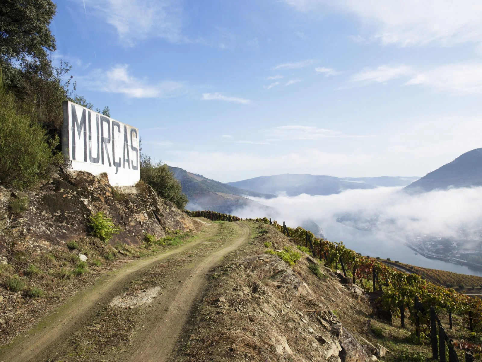 Quinta dos Murças – Visita & Prova Murças