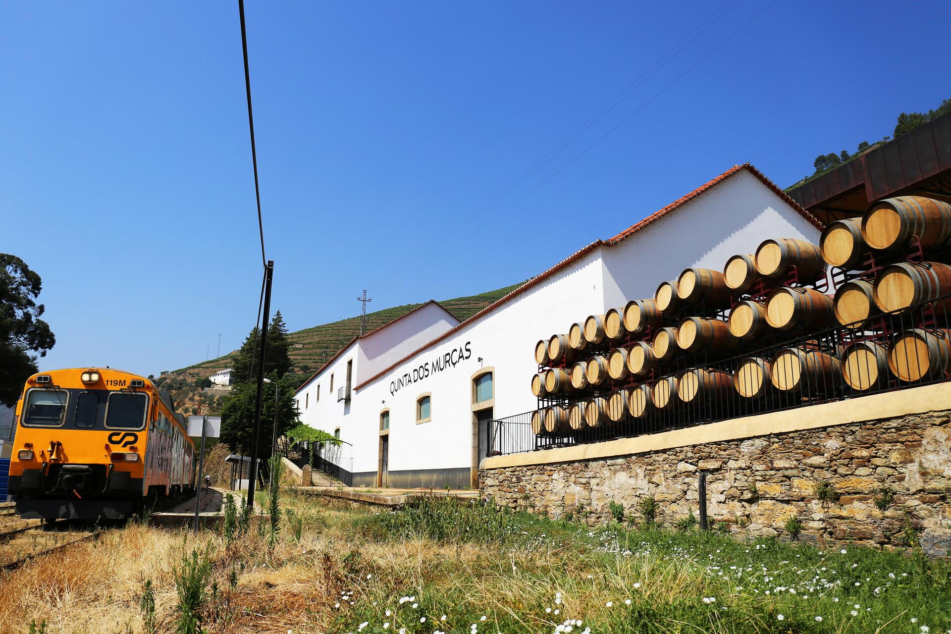 Quinta dos Murças – Visita & Prova Murças