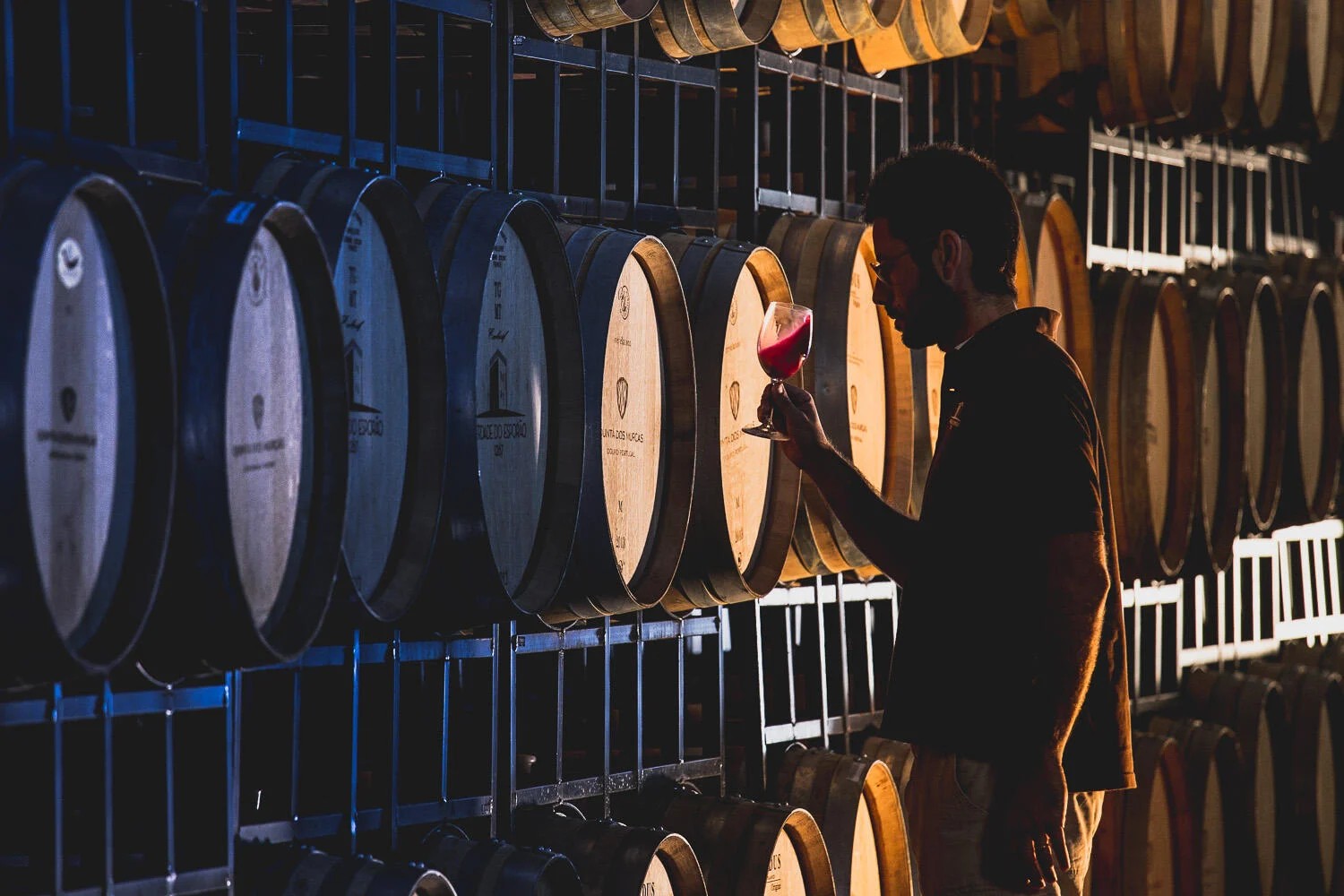 Quinta dos Murças – Visita & Prova Murças