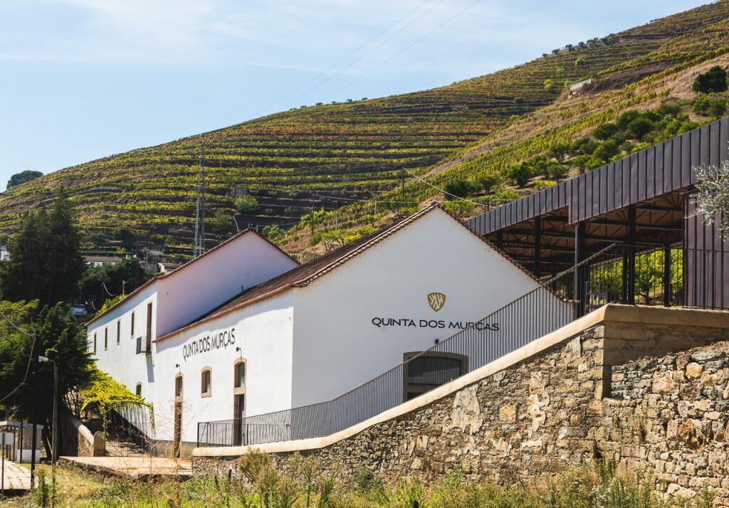 Quinta dos Murças – Visita & Prova Murças