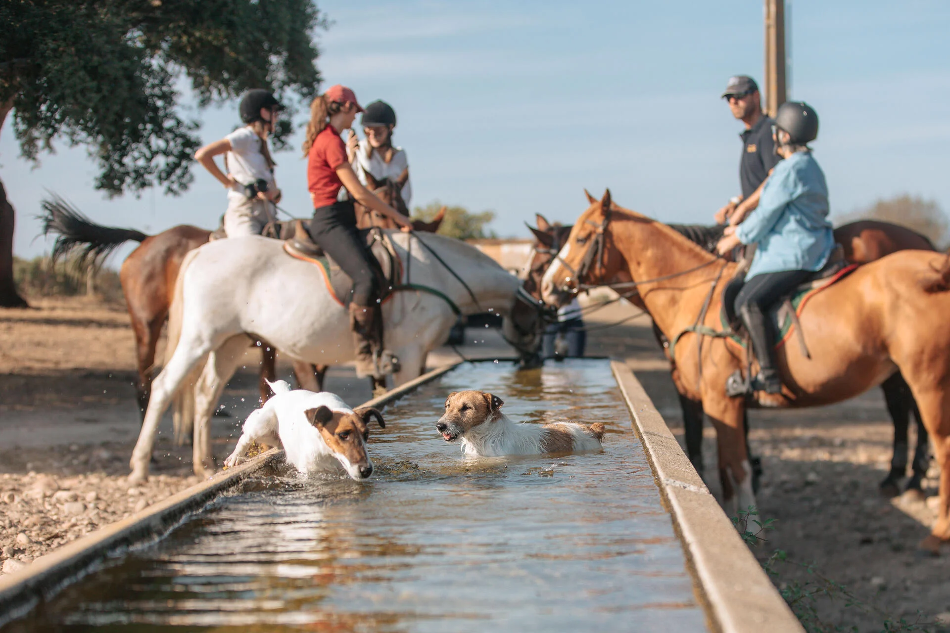 Quinta da Lagoalva – Visita & Prova de Vinhos