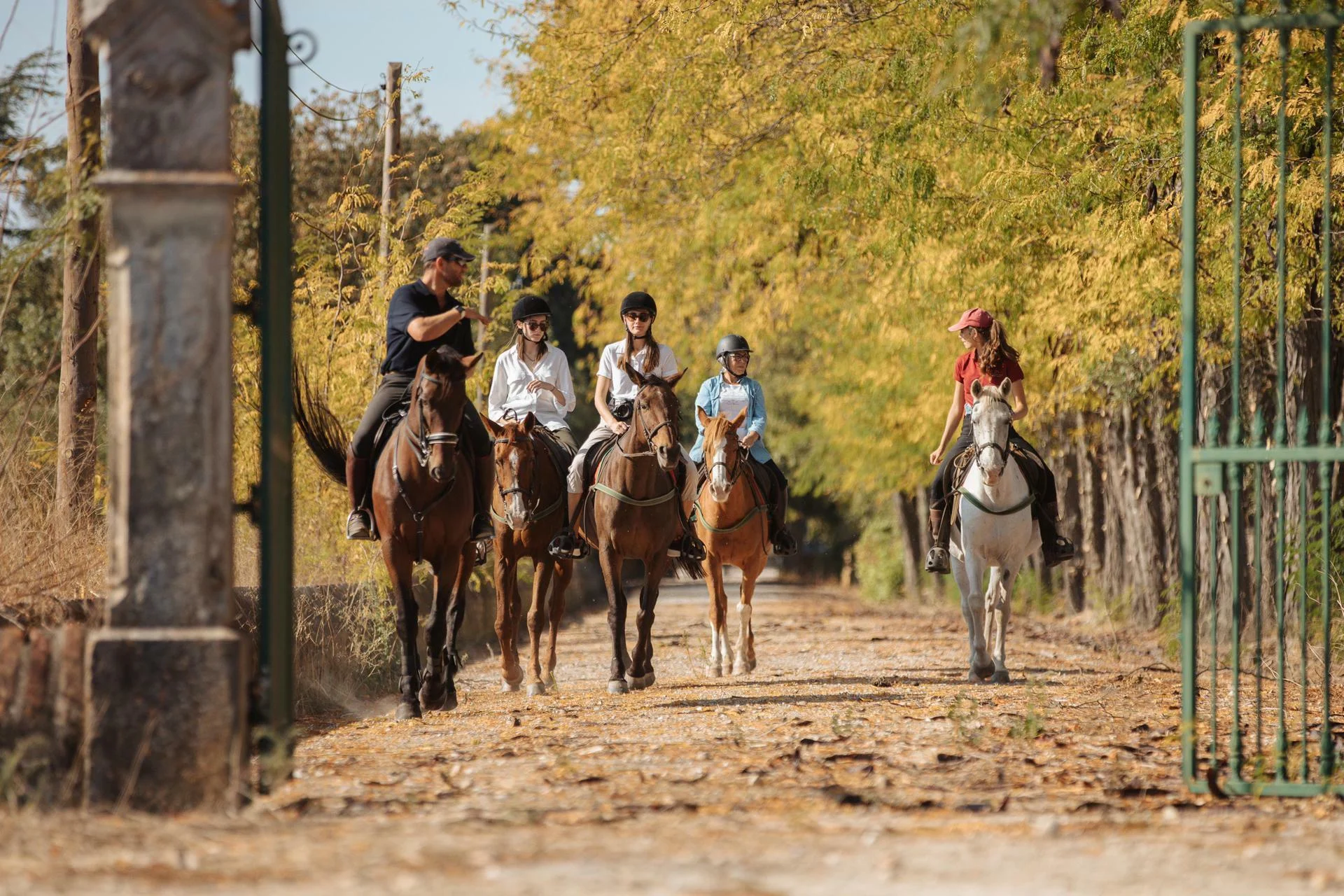 Quinta da Lagoalva – Visita & Passeio de Charrete