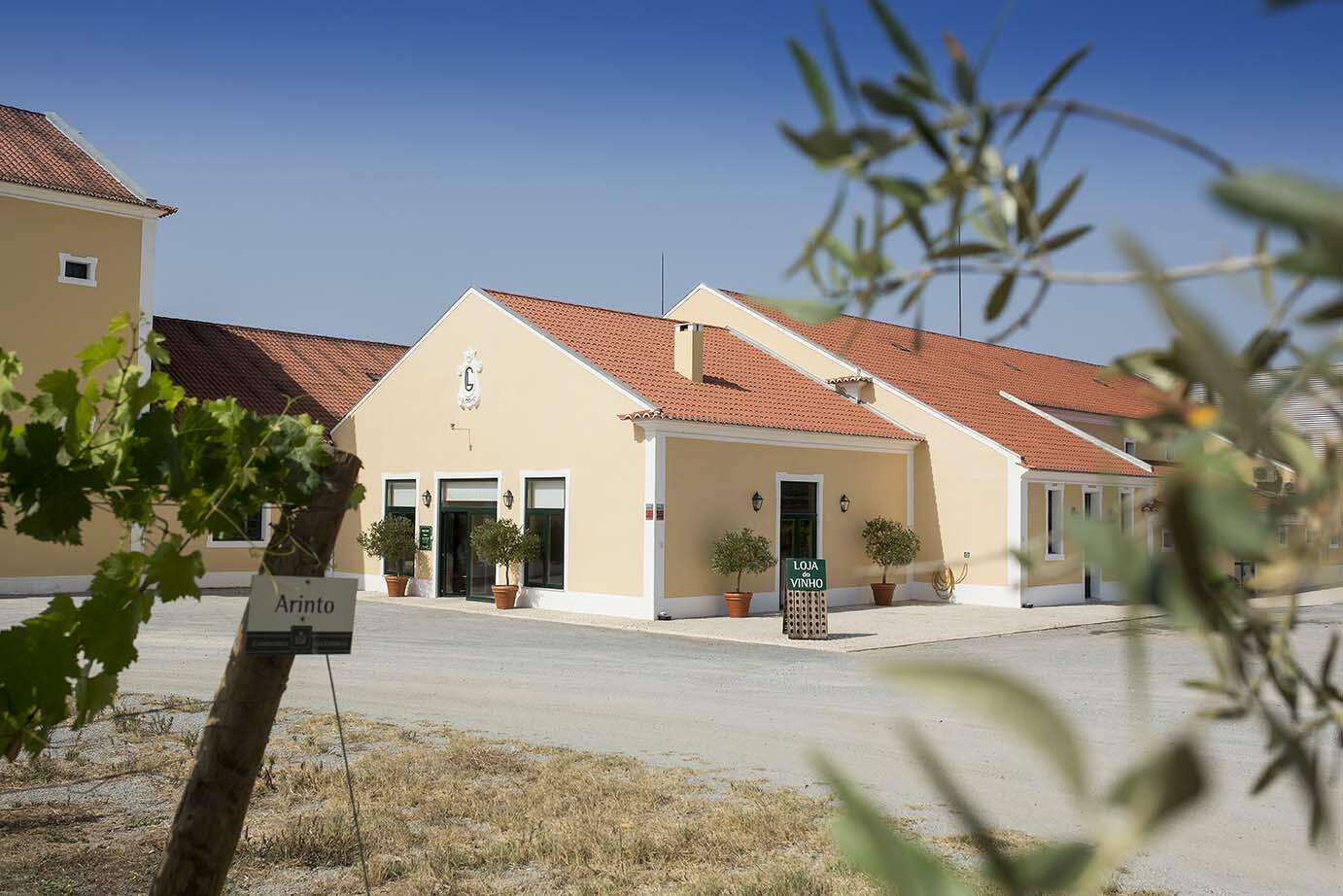 Companhia das Lezírias – Visita & Prova 5 Sentidos