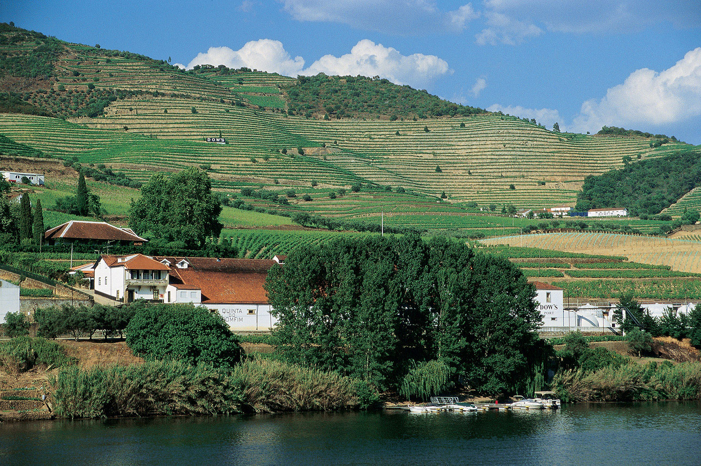 Quinta do Bomfim – Visita & Prova Clássica