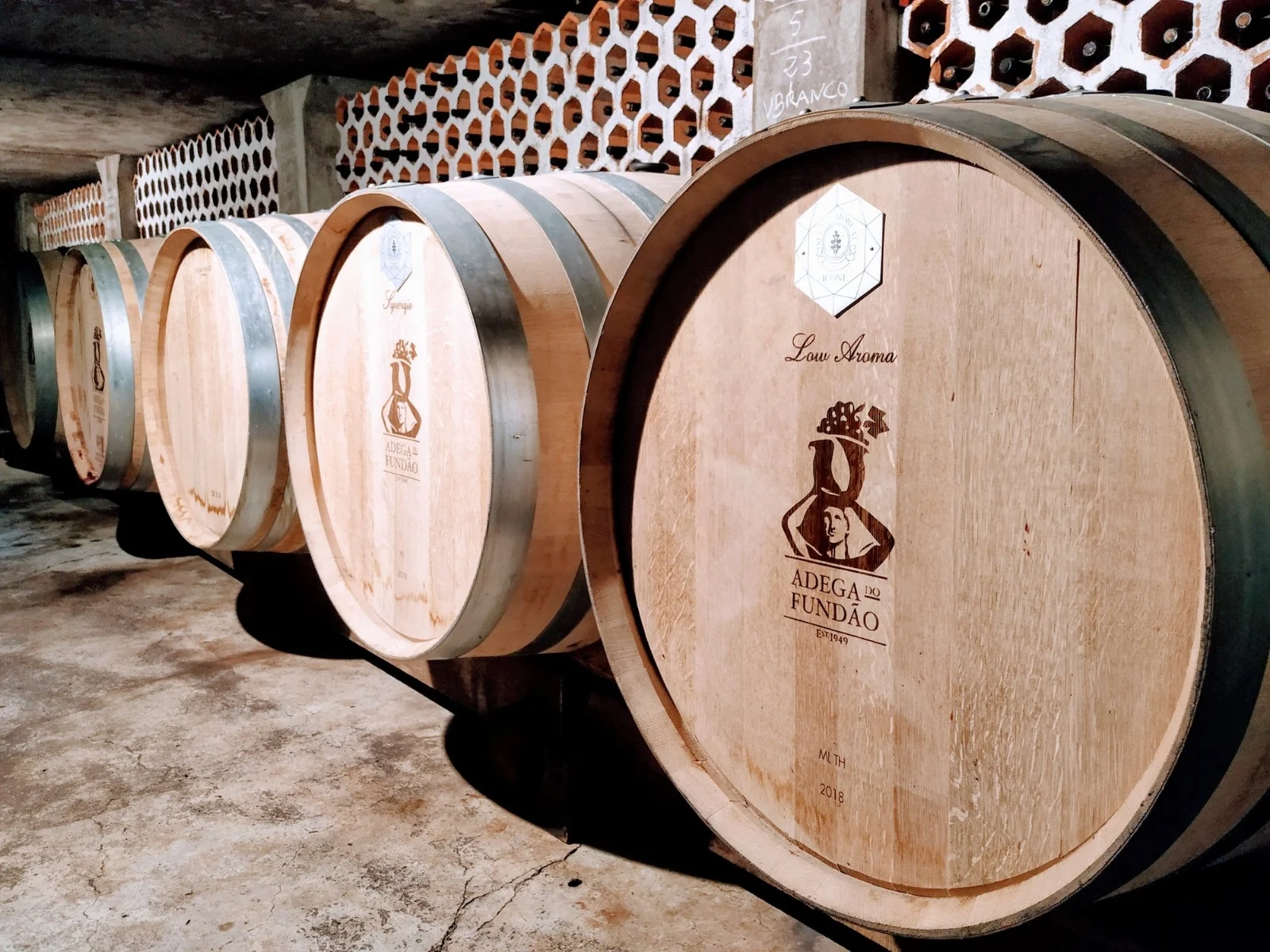 Adega do Fundão – Visita & Prova de 5 Vinhos