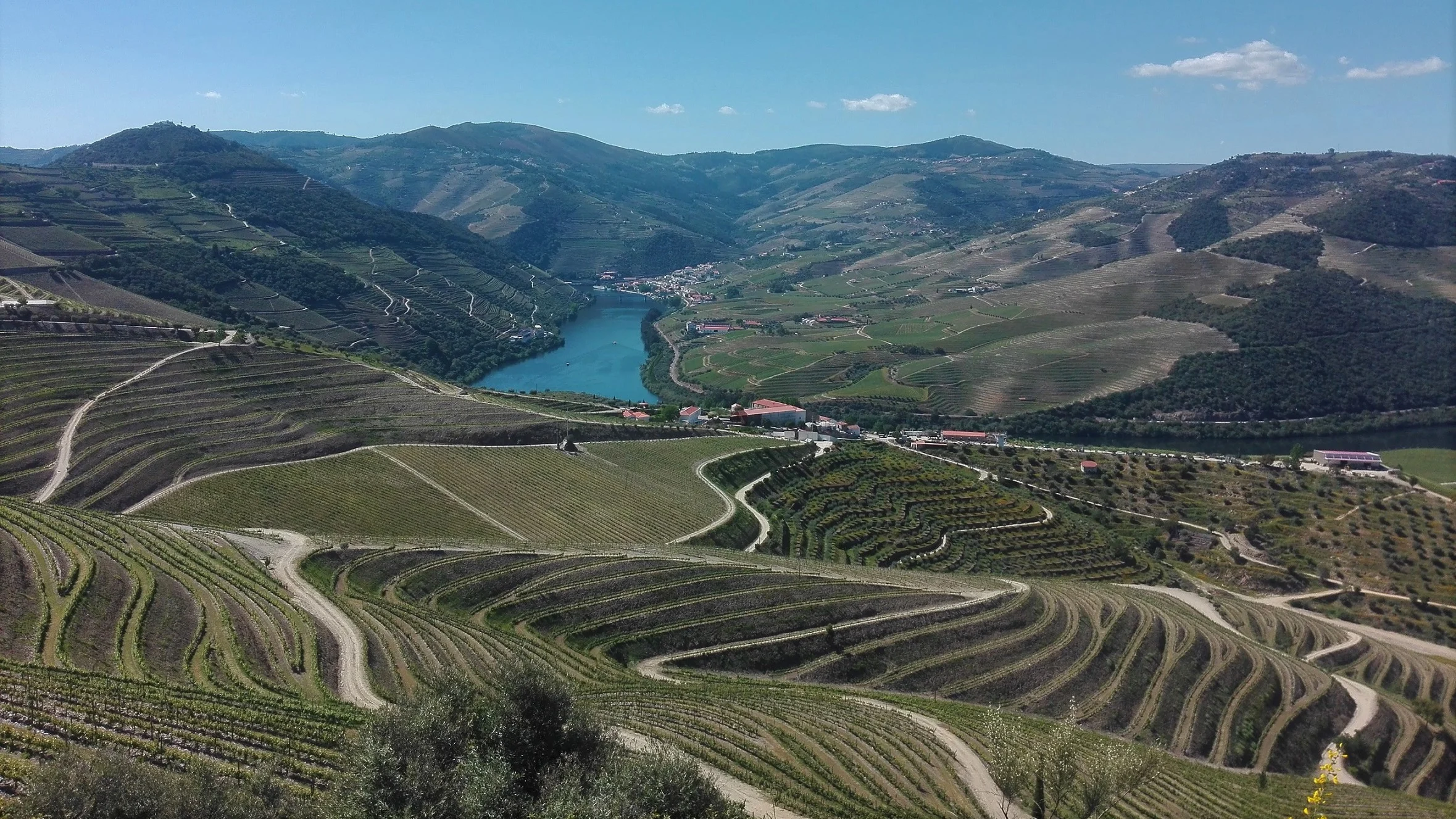 Rota dos Vinhos do Douro