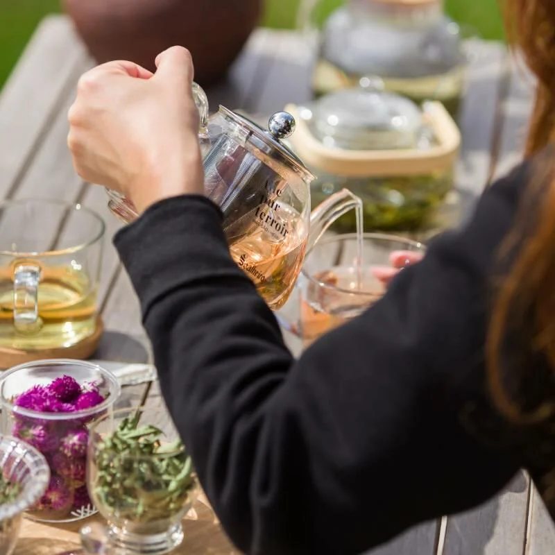 Soalheiro – Prova de Infusões