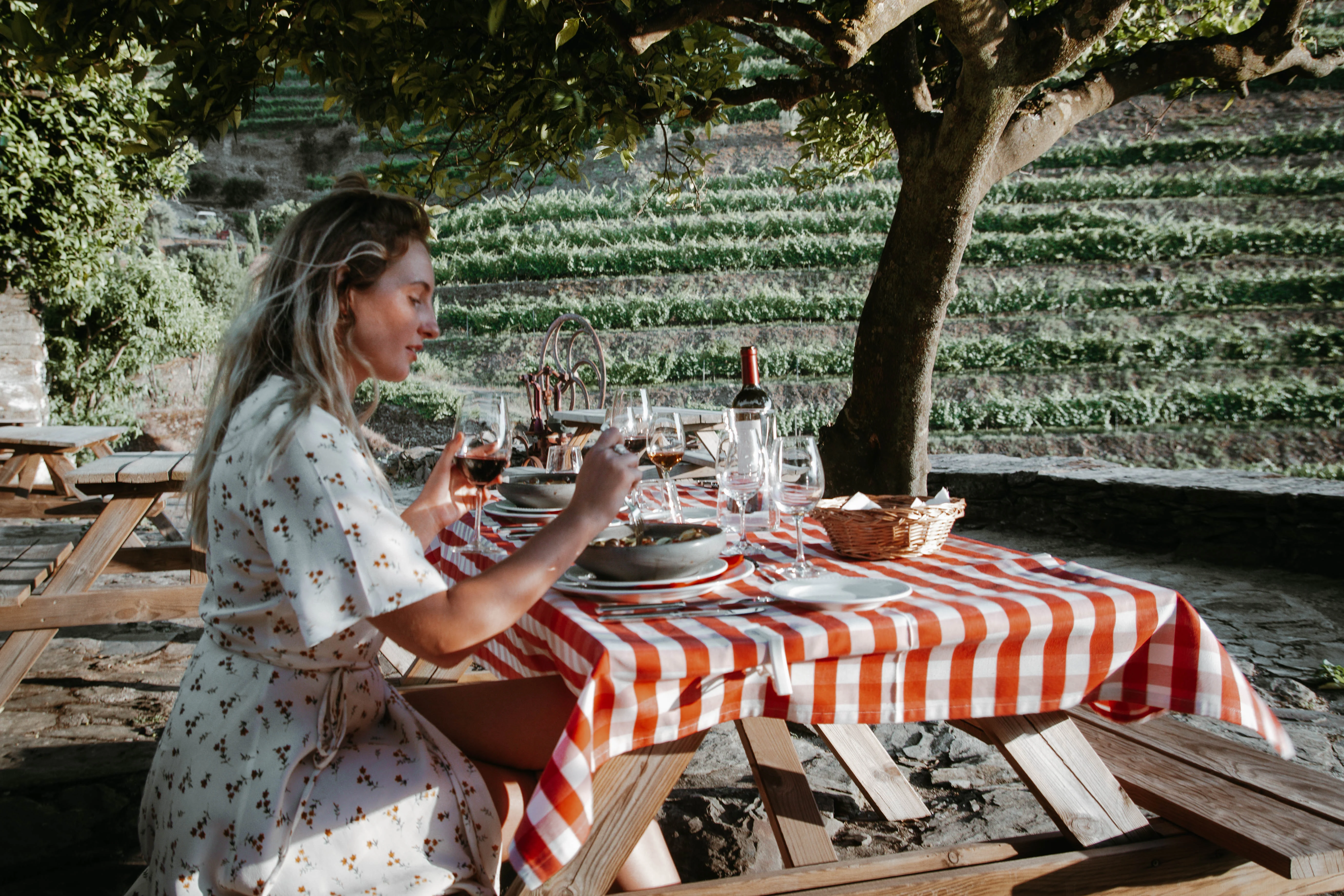 Quinta da Gricha – Visita & Almoço Regional