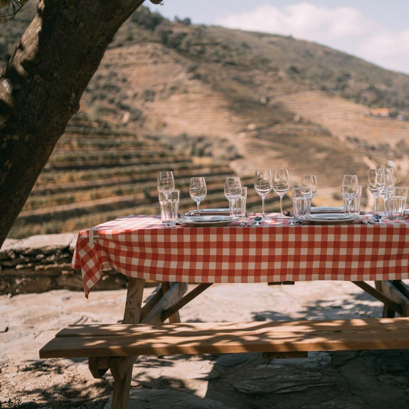 Quinta da Gricha – Visita & Almoço Regional