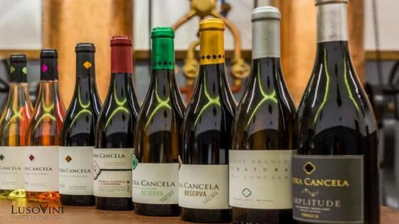 Pedra Cancela – Visita, Prova & Refeição Reserva