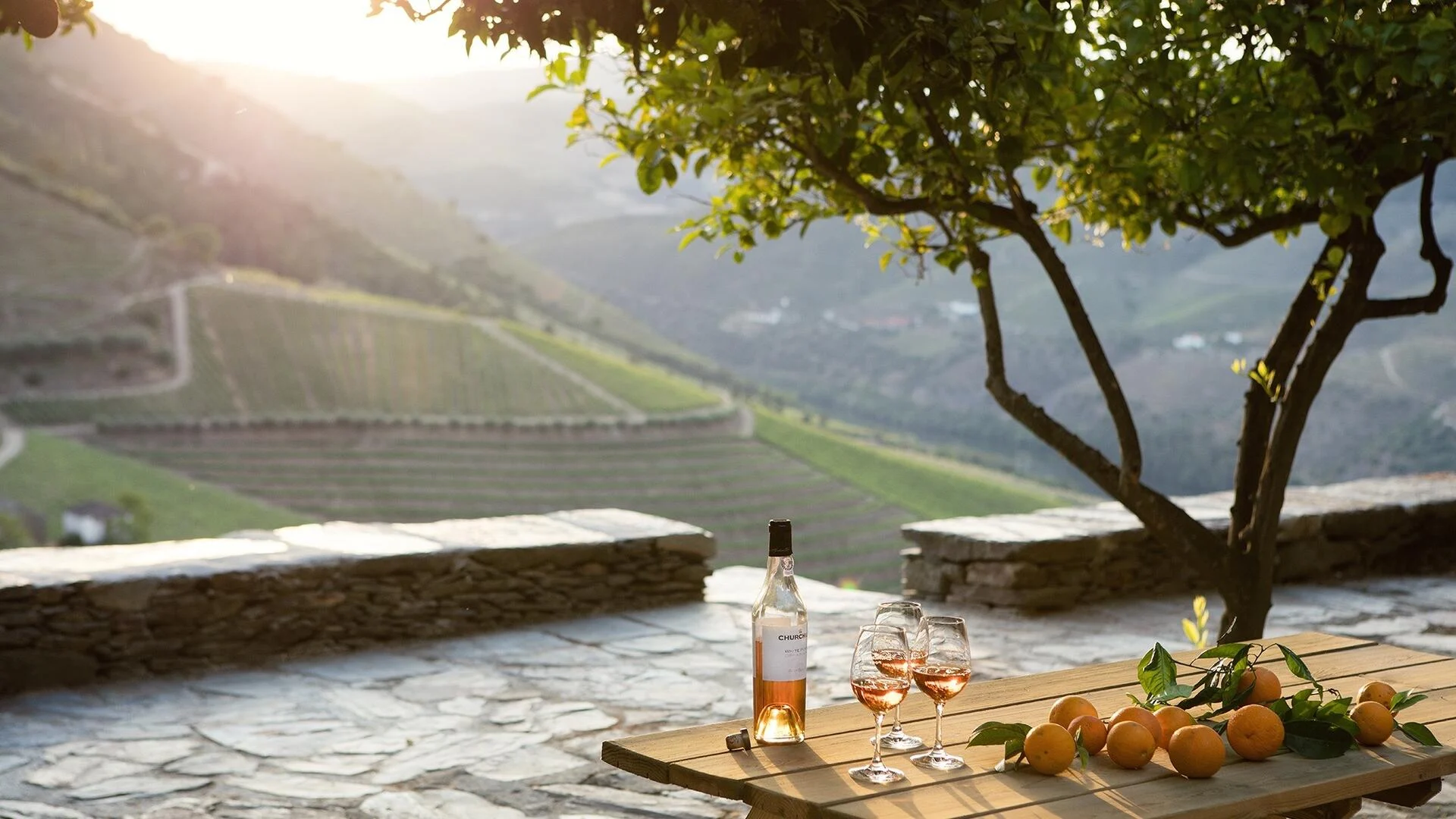 Quinta da Gricha – Terroir Tasting